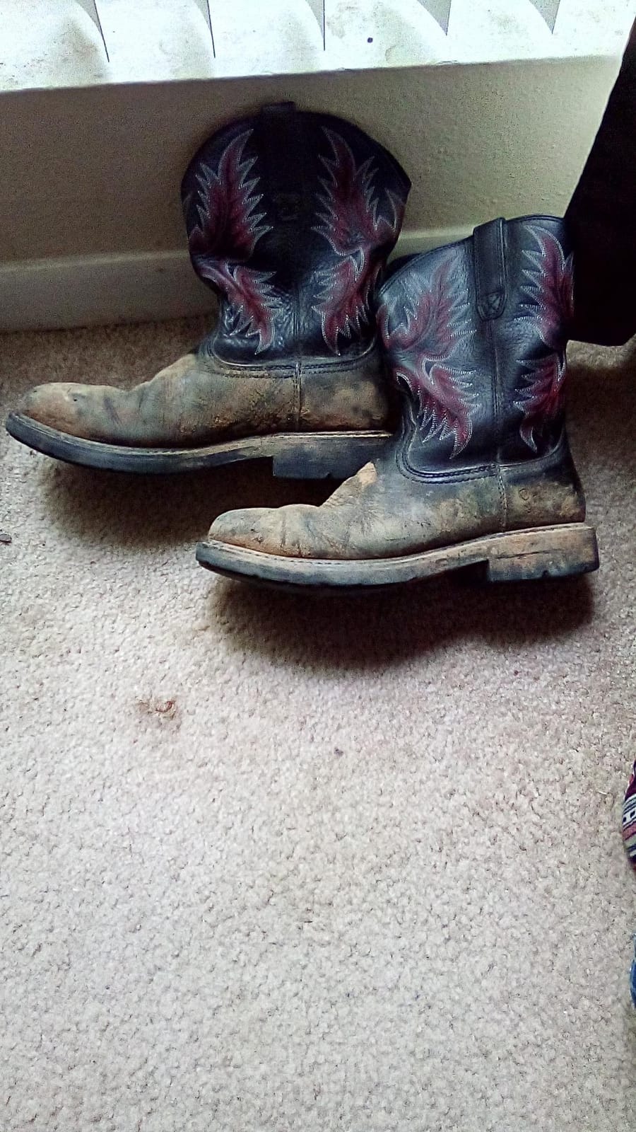 Ariat Men’s Sierra Wide Square Toe Steel Toe Work Boot customer photo 1