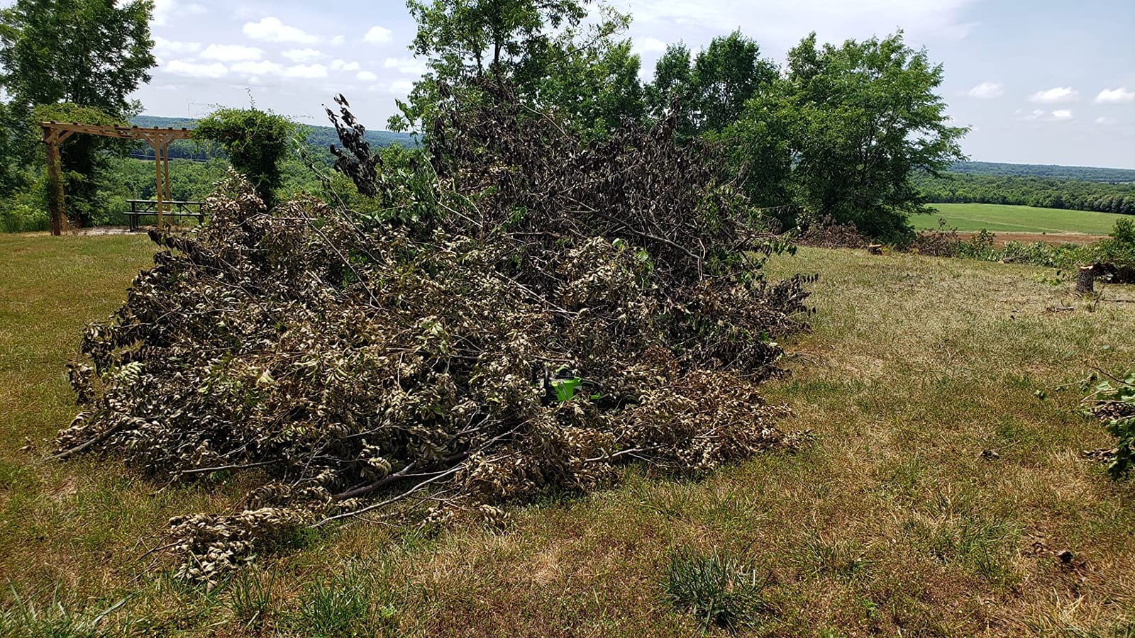 Greenworks 40V 16