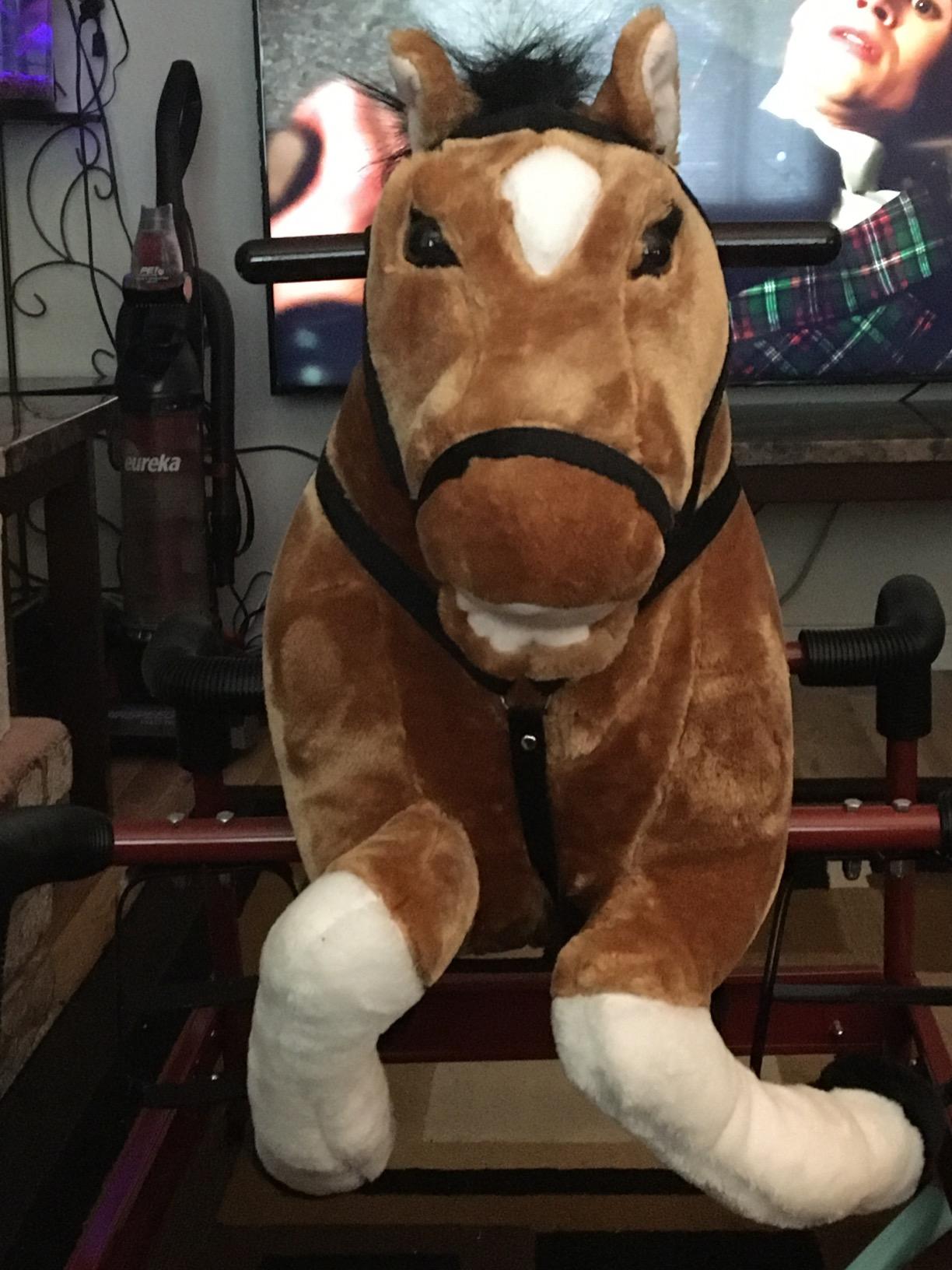 Qaba Spring Rocking Horse Durable Plush for Toddlers with Realistic Sounds | Bouncing Rocker Toy customer photo 2