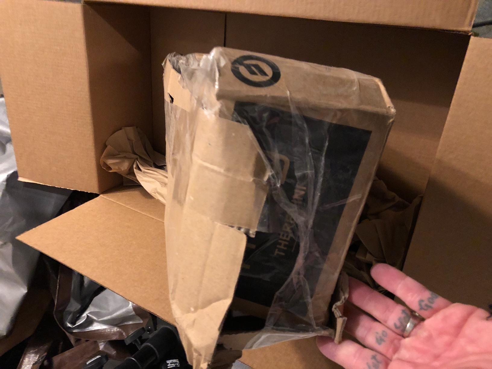 MOOG Theremini Theremin Synthesizer customer photo 2