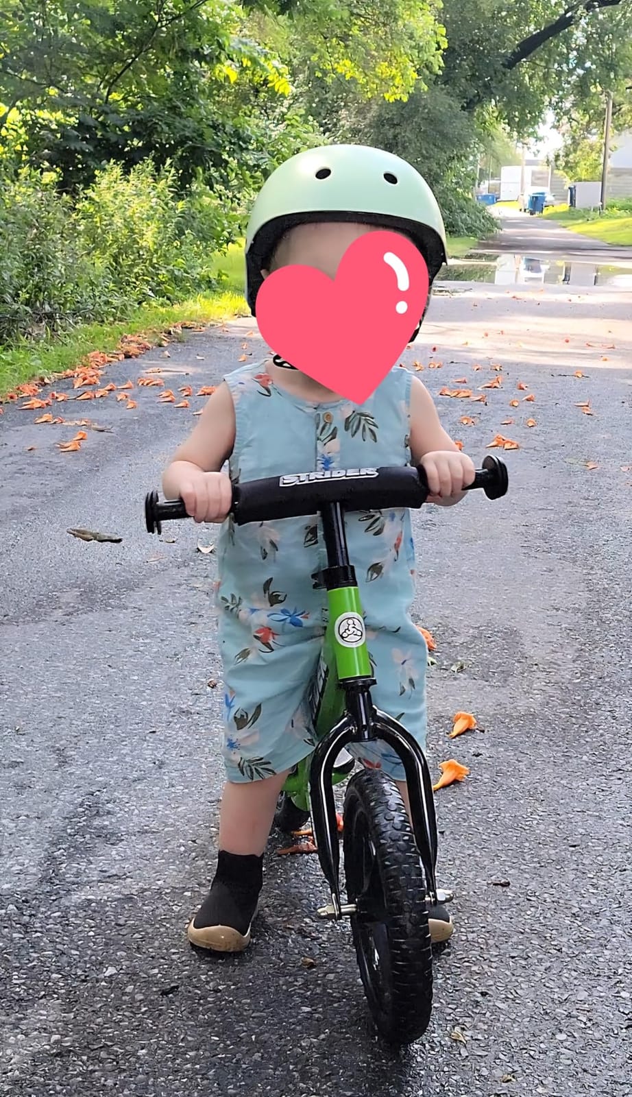 Strider 12 Sport, No Pedal Balance Bike for Kids Ages 1-4 Years, Blue | No-Pedal Balance Bike for Toddlers, Safety Pad, Adjustable Seat and Handlebars Lightweight Frame, Never-Flat Tires customer photo 2