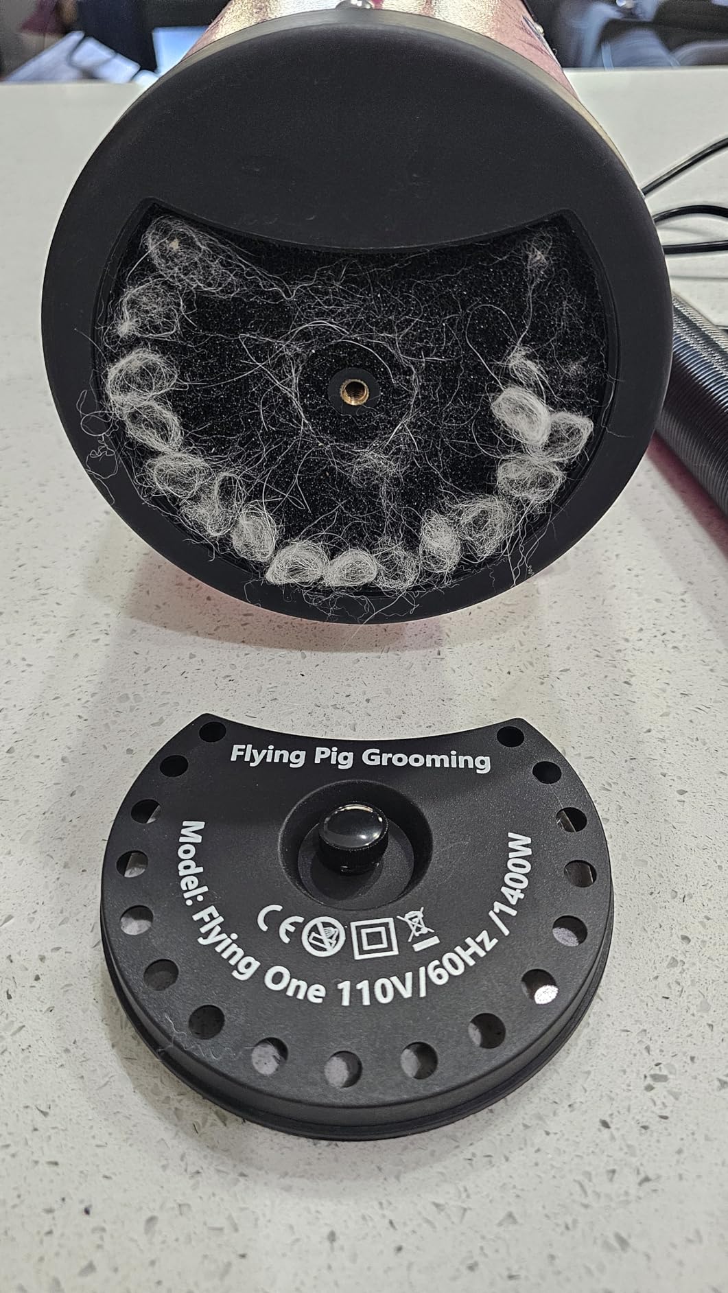 Flying Pig High Velocity Dog Pet Grooming Dryer w/Heater (Model: Flying One, Purple) customer photo 1