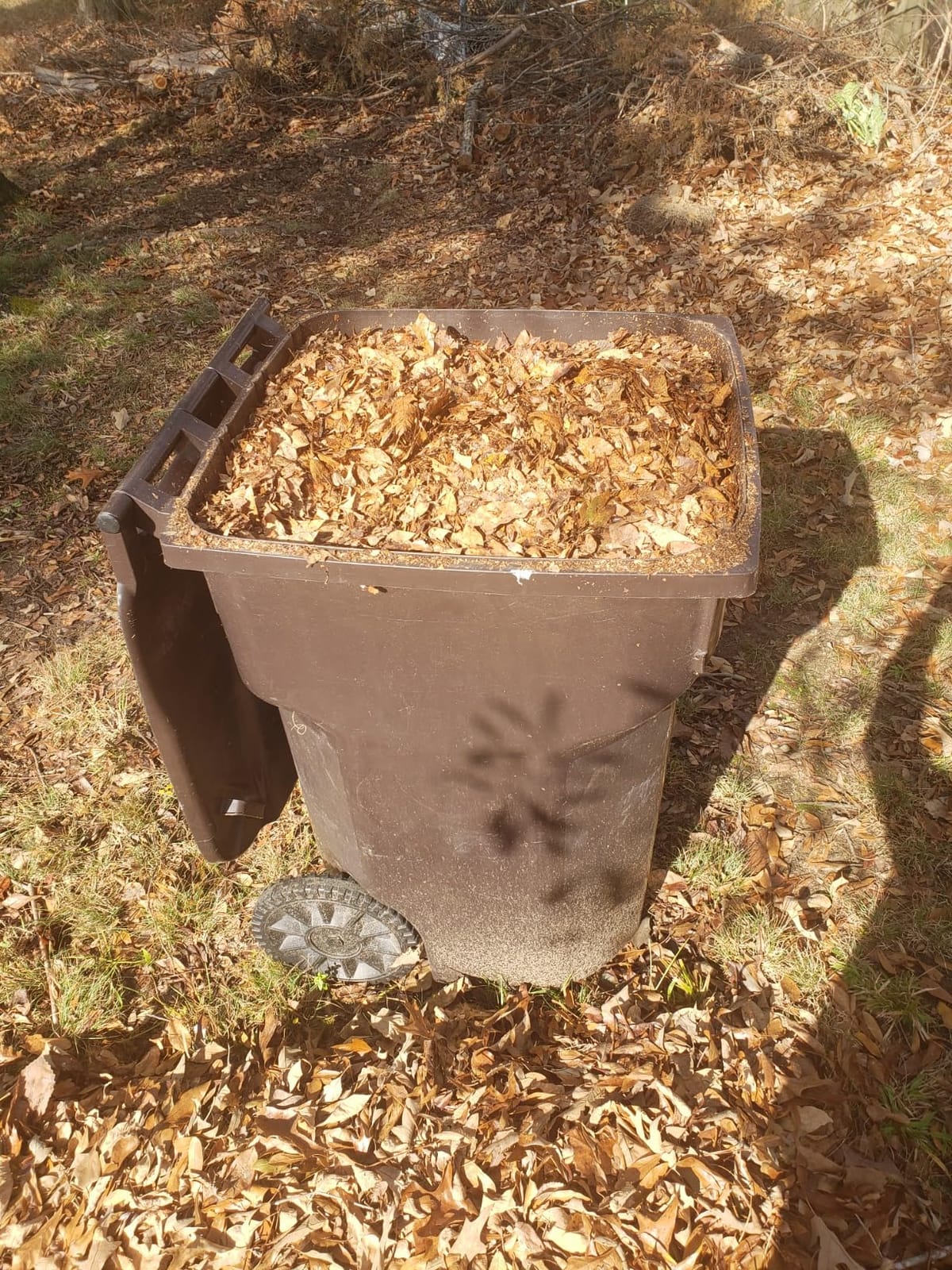 WORX Trivac 3-in-1 Electric Leaf Blower/Leaf Vacuum/Leaf Mulcher, WG509 customer photo 1