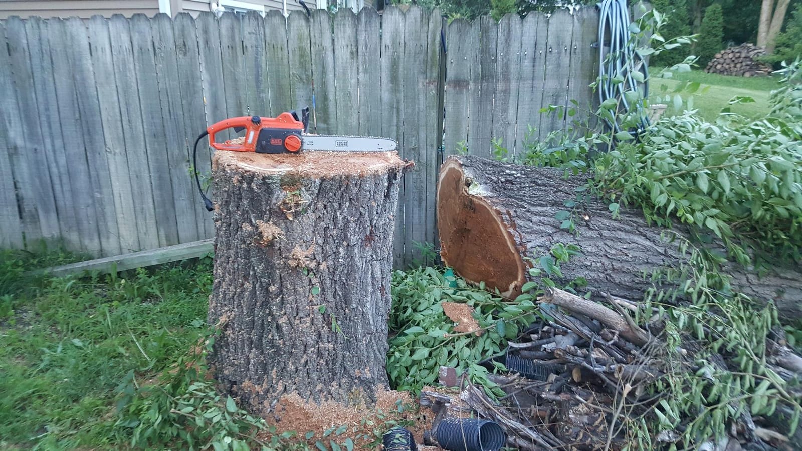 BLACK+DECKER 12 Amp 16 in. Electric Chainsaw (CS1216) customer photo 2