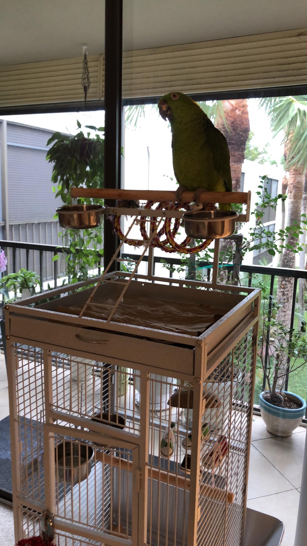 Yaheetech Wrought Iron Bird Cages, Play Top Large Aviary with Stand for Cockatiel Parrot Sun Parakeet Conures Lovebird Budgie Finch African Grey White, 61-inch customer photo 2