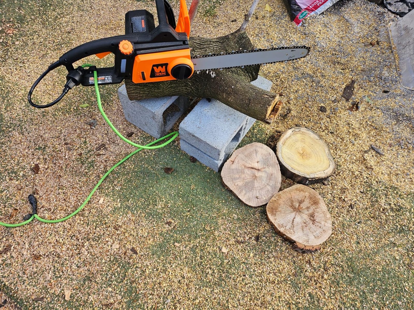 WEN CP1216 Electric Chainsaw, Corded, 12-Amp, 16-Inch customer photo 2