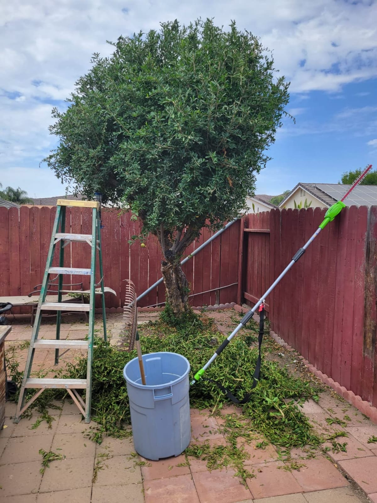 Greenworks 40V 8 in Pole Saw Hedge Trimmer Kit, 2.0 Ah Battery and Charger customer photo 1
