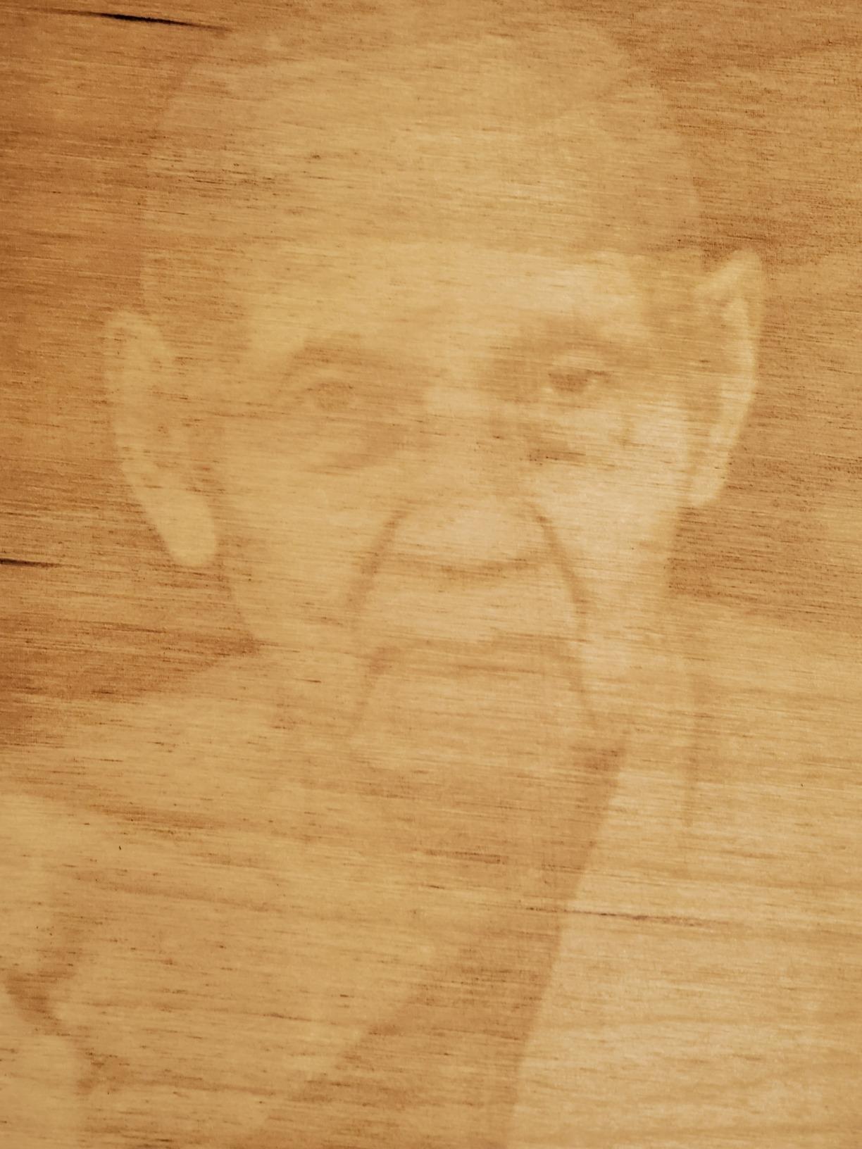 6 mm Baltic Birch Plywood 1/4 x 12 x 12 Inch, Box of 8 B/BB Grade Craft Wood, Stronger Than Basswood Sheets, for Laser, CNC Cutting and Wood Burning, by Woodpeckers customer photo 2