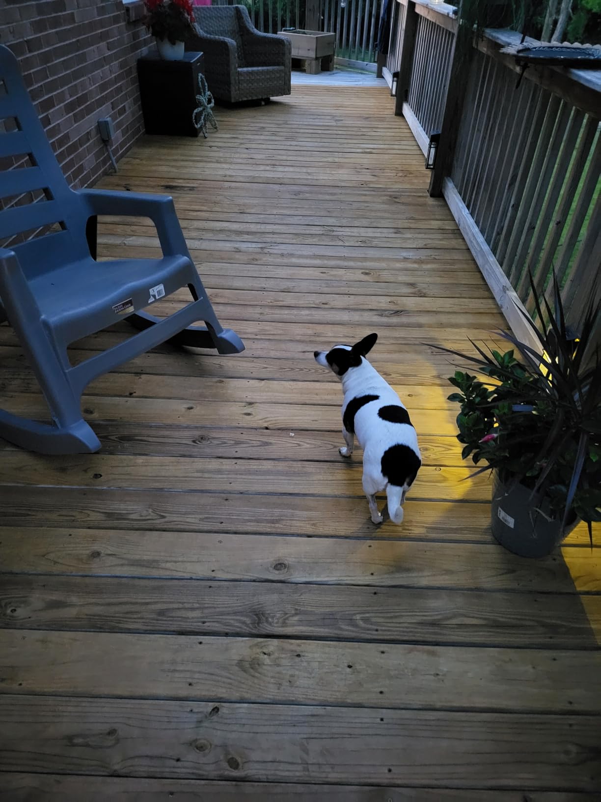 SaverSystems #1 Deck Premium Semi-Transparent Outdoor Wood Stain and Sealer in One - Water Based Wood Stain for Decks, Fences, & Siding - 1 Gallon (Dark Walnut) customer photo 1