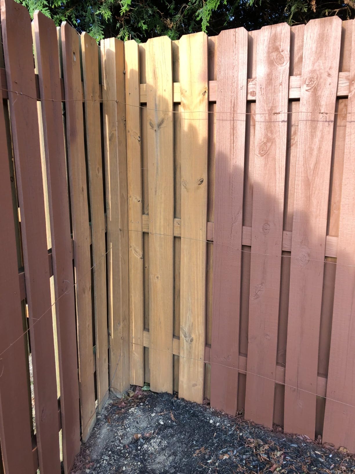 Wagner Control Spray 250 customer photo 2