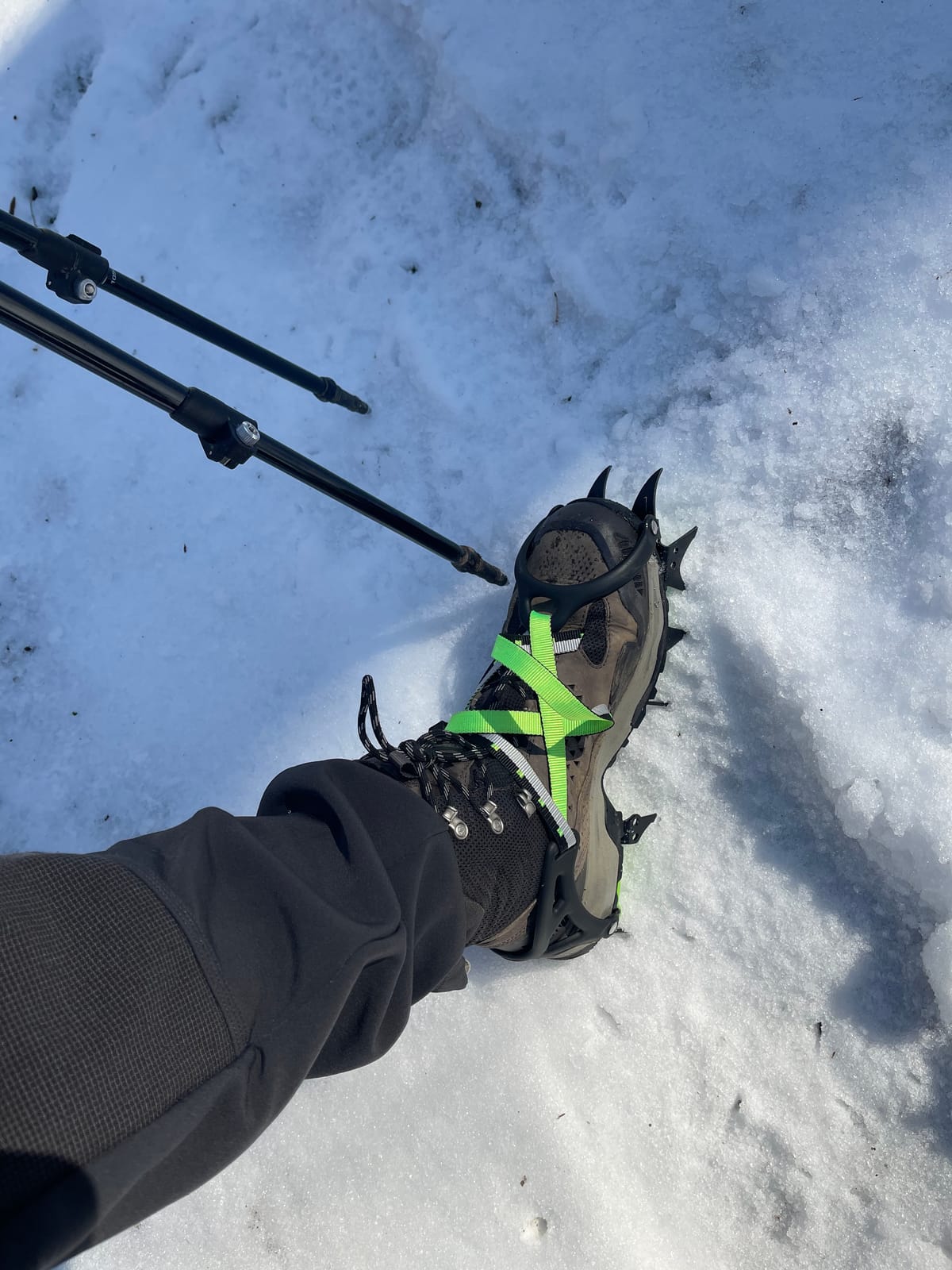BRS HuaYe Professional Edition Fourteen Teeth Ice Crampons Winter Snow Boot Shoe Covers Gripper BRS-S1A customer photo 1