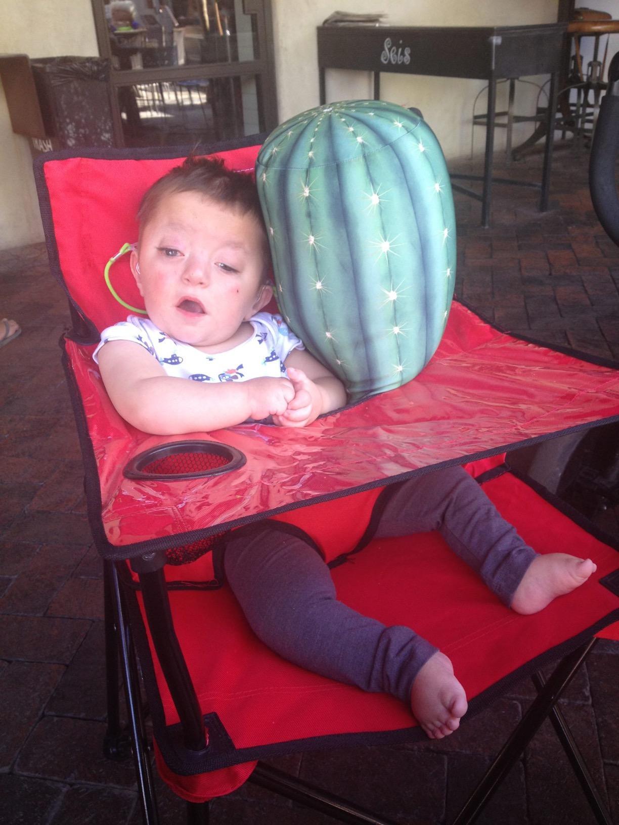 ciao! baby Portable High Chair, for Travel and Camping, Grey Check customer photo 2