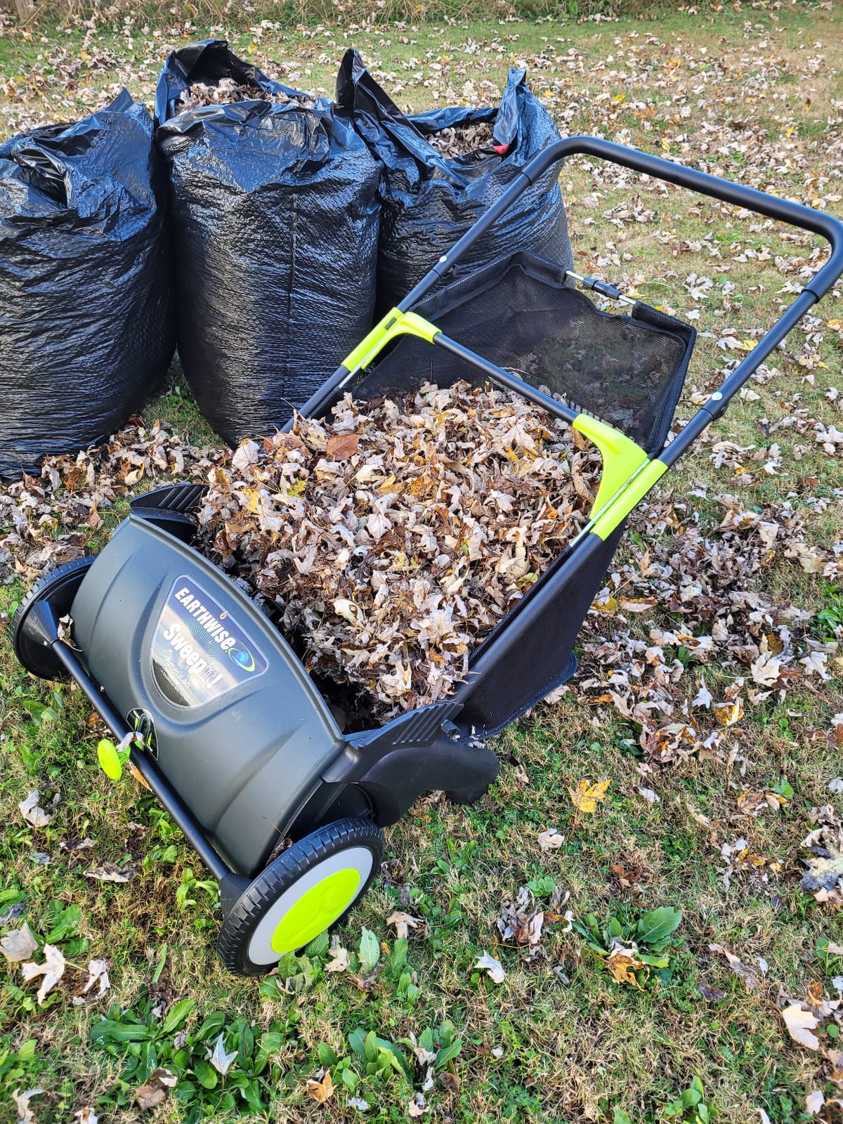 Earthwise LSW70021 21-Inch Width Leaf & Grass Push Lawn Sweeper, Black customer photo 1
