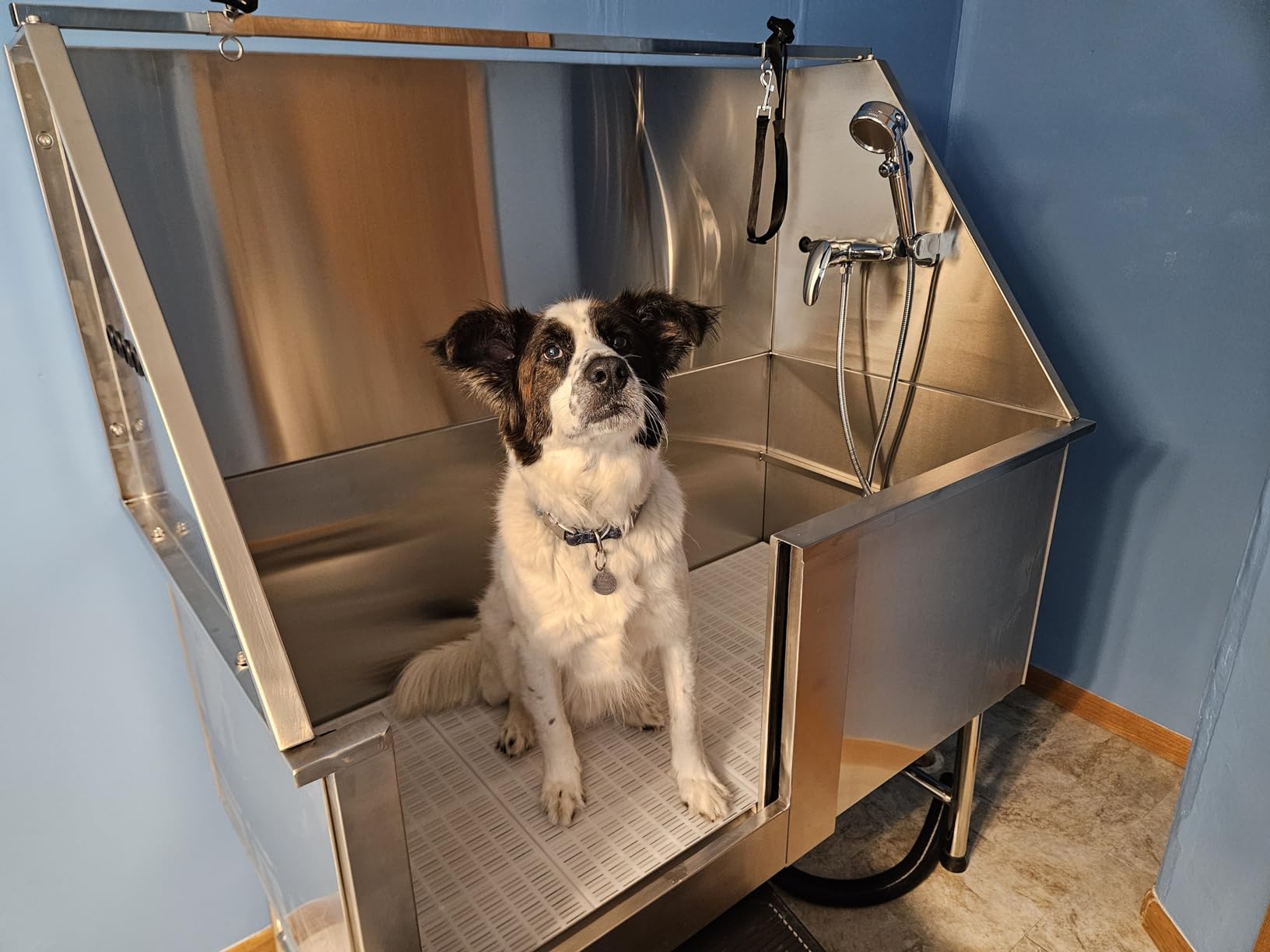 Stainless Steel Dog Grooming Bath Tub with Ramp, Faucet, Hoses and Loops (50