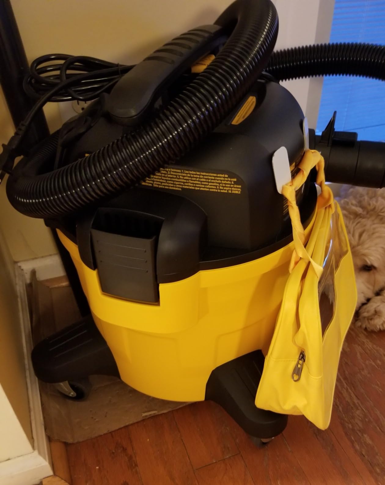 DEWALT Shop Vacuum 6 Gal 4 HP Poly Wet/Dry Vacuum with Blower DXV06P | Wet/Dry/Blower 3-in-1 Portable Poly Tank Shop Vacuum Rubberized Casters Easy Moving Ideal for Garage/Workshop/Jobsite customer photo 2