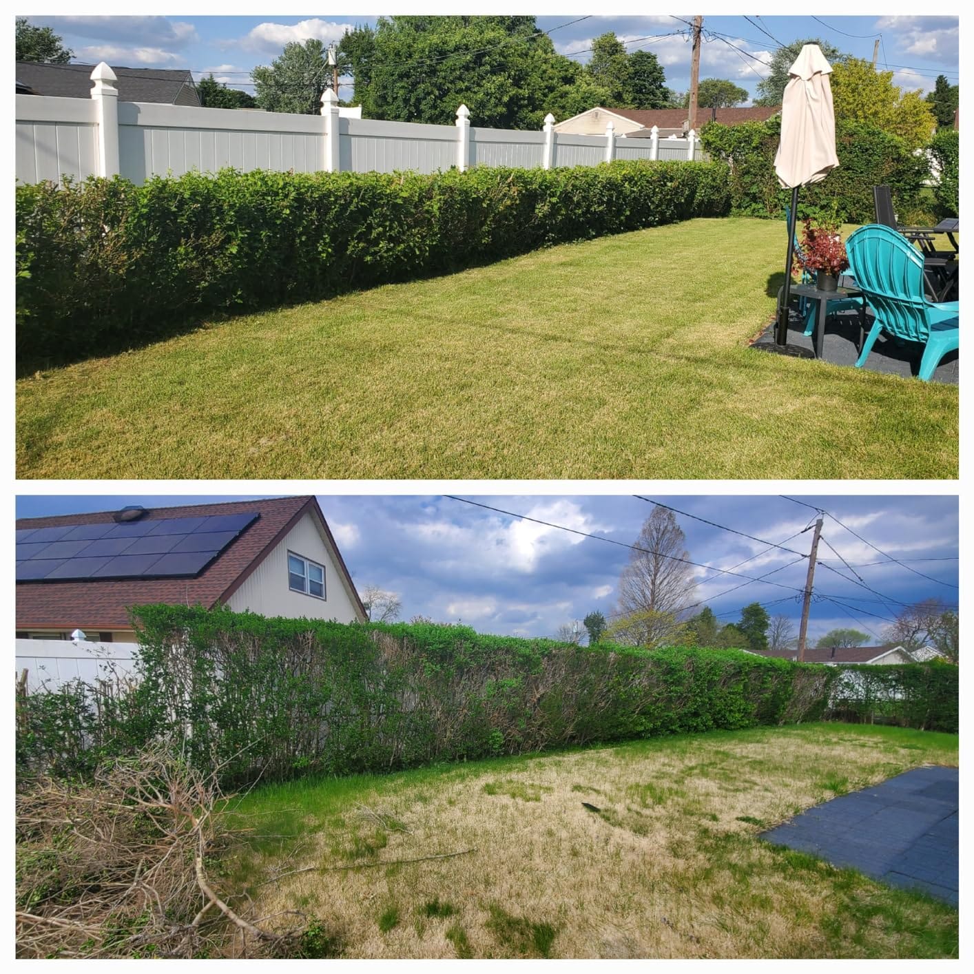 Greenworks 40V 8 inch Cordless Pole Saw Battery and Charger Not Included, PS40B00 customer photo 2