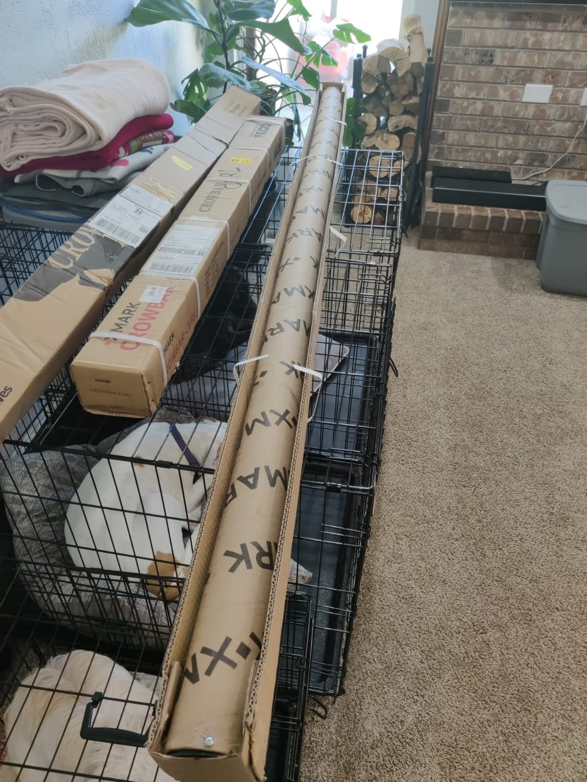 XMARK Crowbar Olympic Barbell, 20kg Training Bar, 28mm Shaft, Center Knurl customer photo 1
