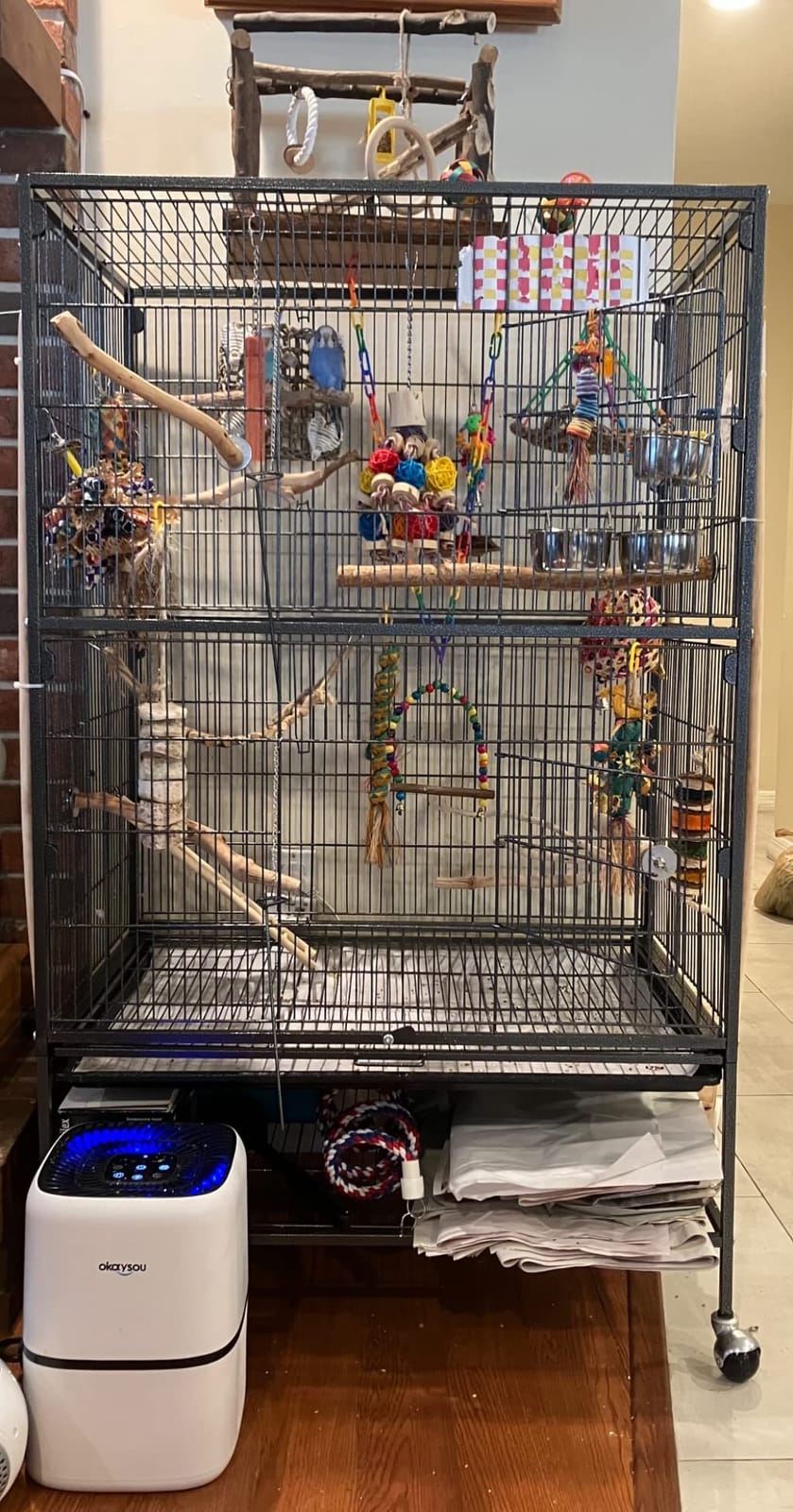 Topeakmart Wrought Iron Large Flight Parrot Bird Cage with Rolling Stand for Multiple Parakeets Conure Cockatiel Cage customer photo 1