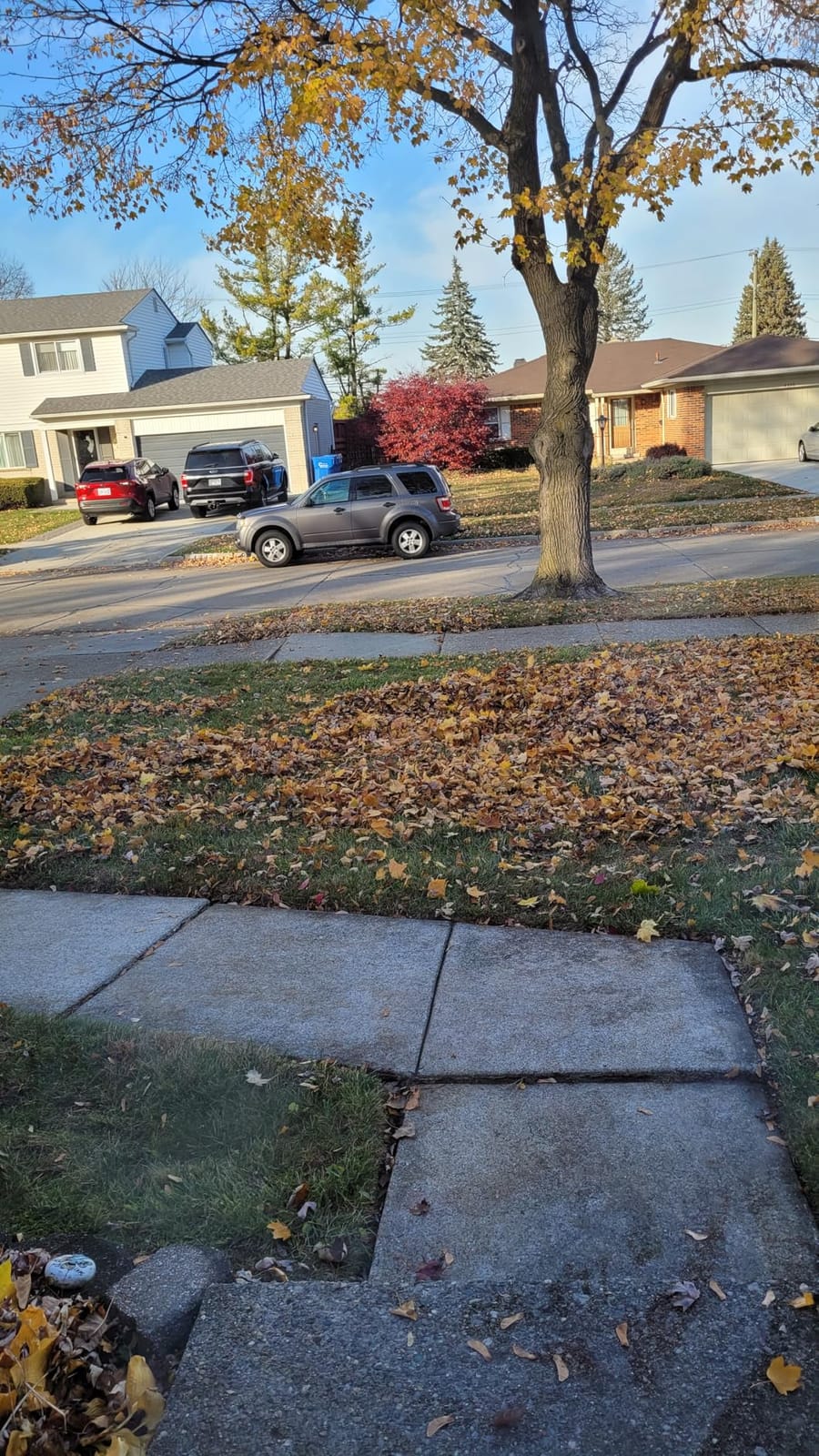 Gardena Manual Lawn and Leaf Collector Sweeper, Large Bag - 03565 customer photo 1