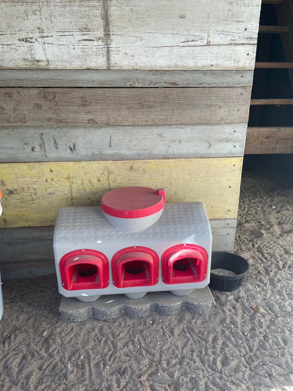 OverEZ Chicken Feeder - Holds 50 Pounds of Feed - Inside or Outside Hen Coop - Large Gravity Fed Automatic Poultry Dispenser - No Waste Rainproof Design customer photo 2