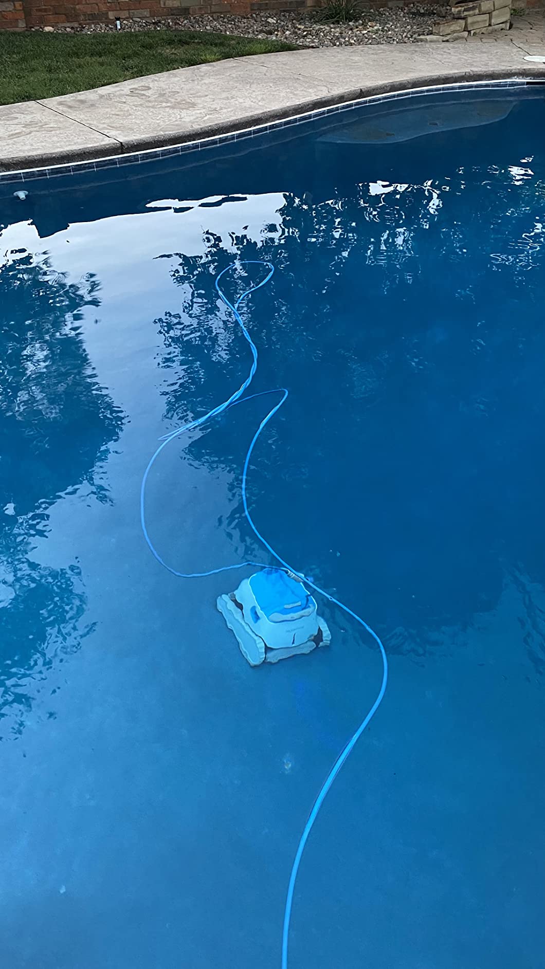 Dolphin Proteus DX5i Wi-Fi Automatic Robotic Pool Vacuum Cleaner, Wall Climbing, Waterline Scrubber Brush, Ideal for In-Ground Pool up to 50 FT in Length customer photo 2