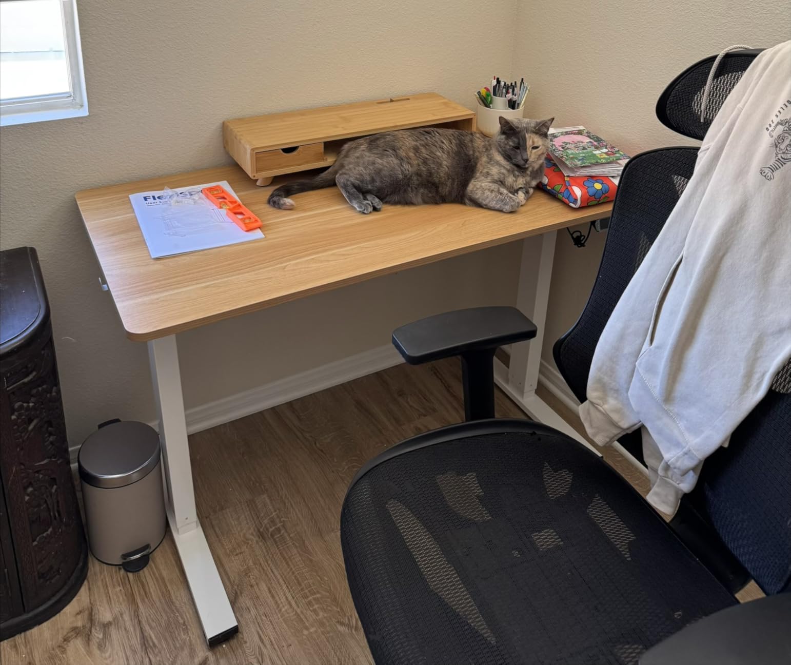 FLEXISPOT EN1 48