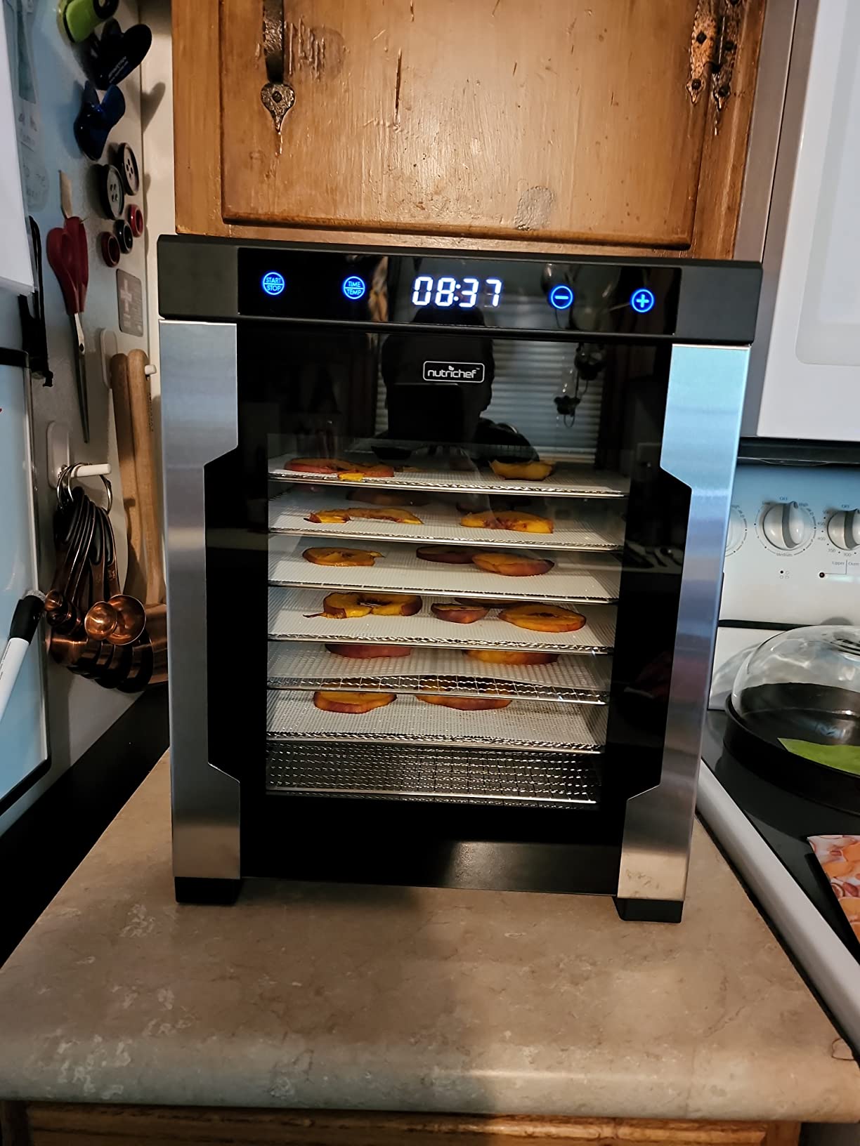 NutriChef Electric Countertop Food Dehydrator -900-Watt Premium Multi-Tier Meat Beef Jerky Maker Fruit/Vegetable Dryer w/10 Shelf Stainless Steel Trays,Digital Timer,Temperature Control-NCFD10S customer photo 1