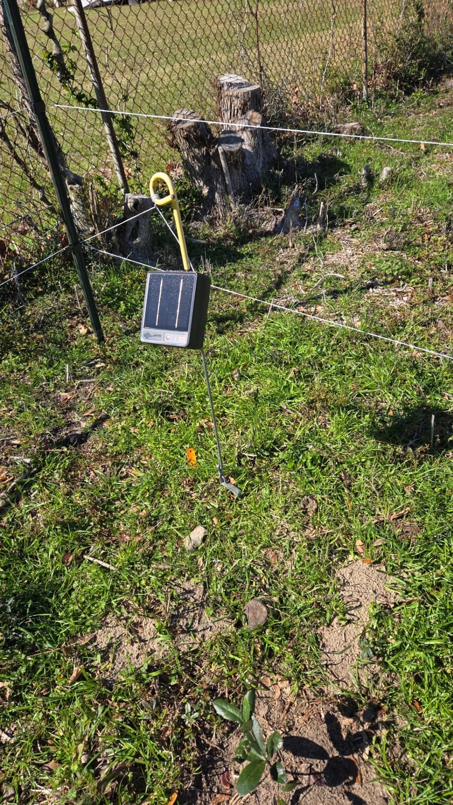 Gallagher S12 0.12J Solar Electric Fence Charger, 4 Mile Range customer photo 1