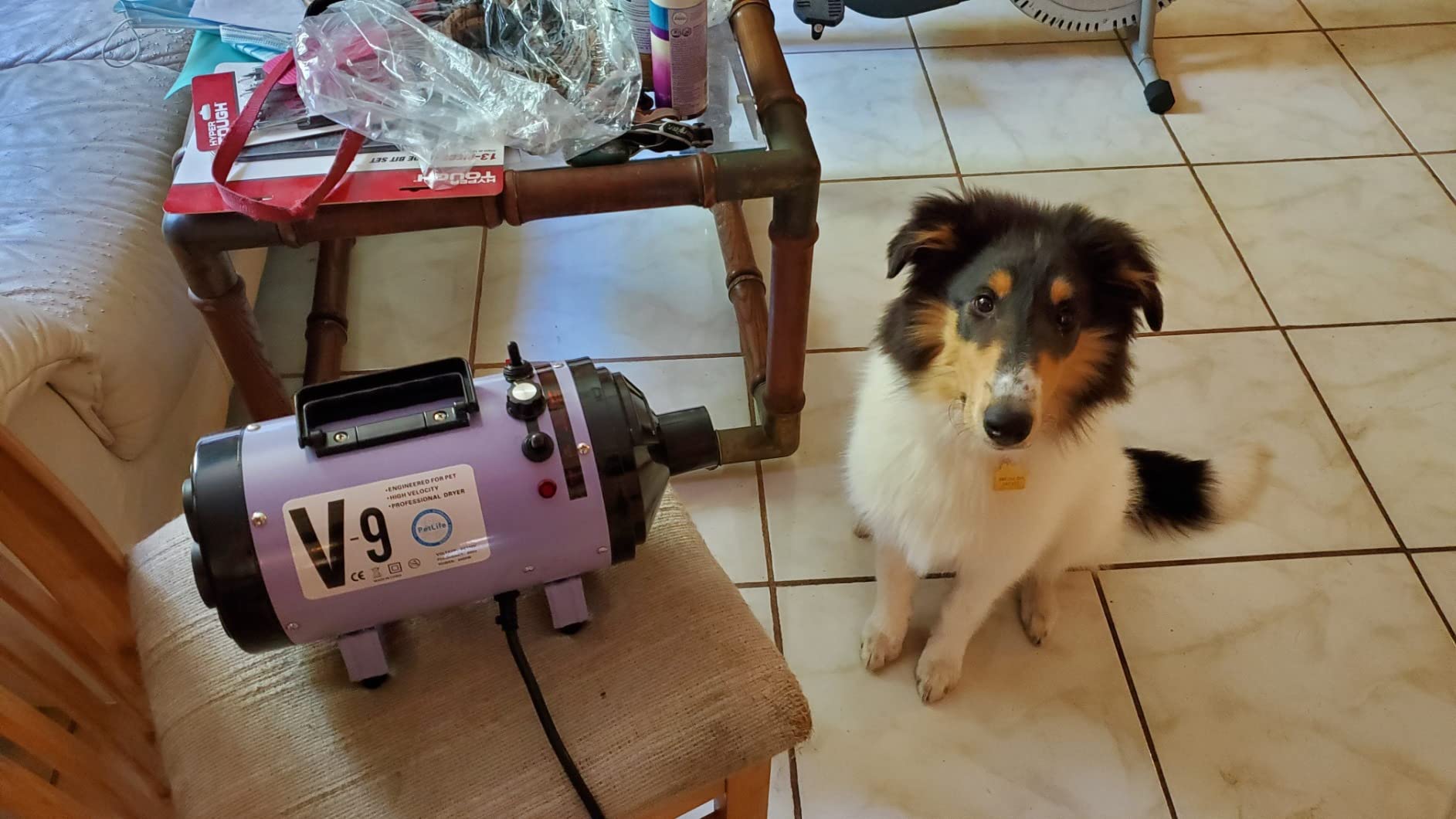 Dog Hair Dryer, 5.2HP High Velocity Pet Grooming Blower with Heater(Purple) customer photo 1
