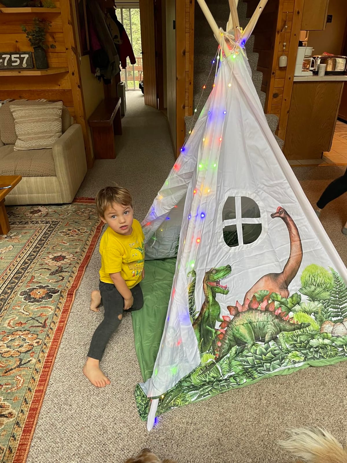 W&O Dinosaur Discovery Teepee with LED Lights, Roar Button & Plush Mat customer photo 2