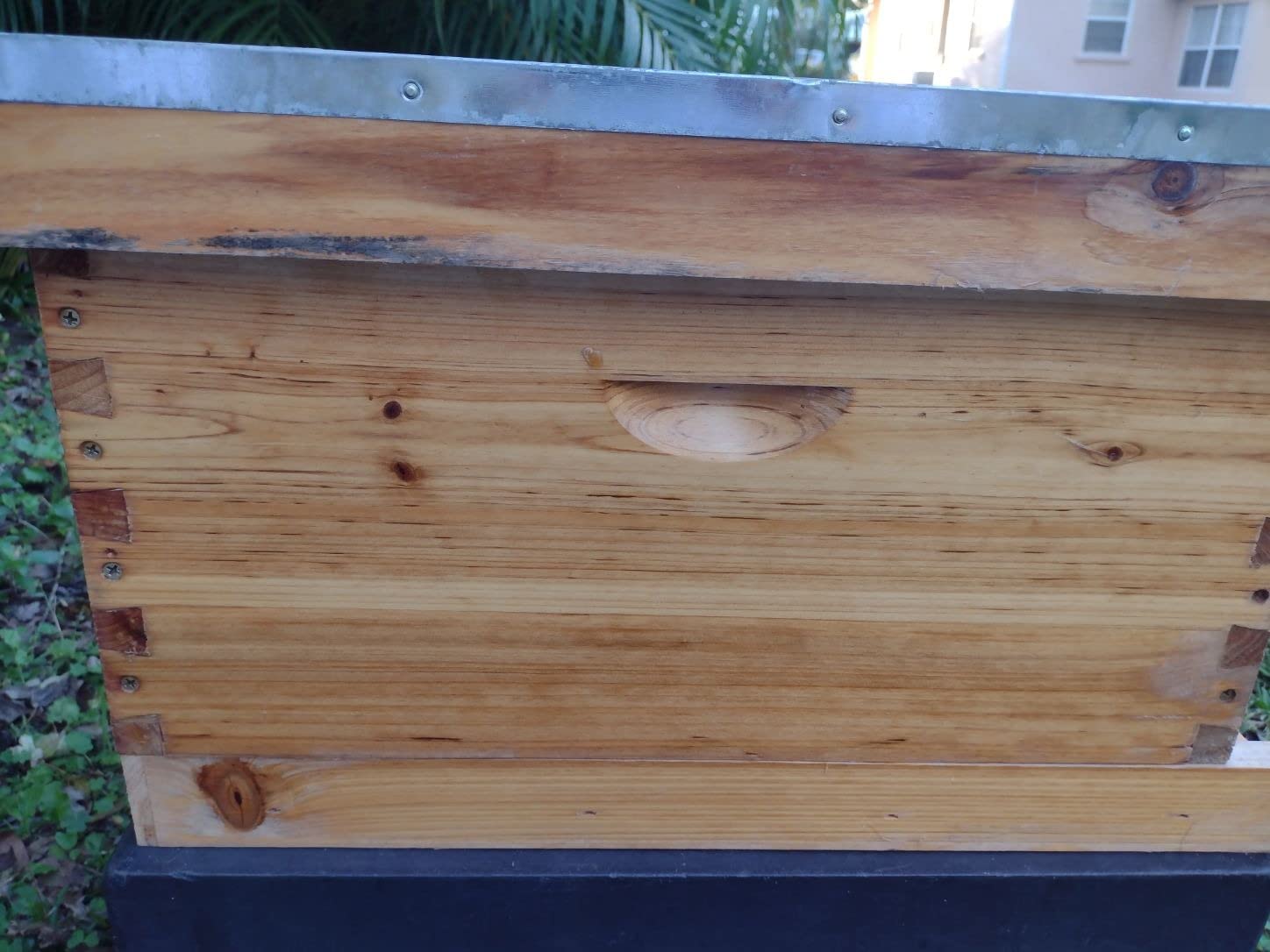 BeeCastle 10-Frame Bee Hives and Supplies Starter Kit,Beehive Kit Dipped in Beeswax,Bee Keeping Supplies-All Beginners Kit Includes Beekeeping Supplies Tool Set and Bee Suit. customer photo 2