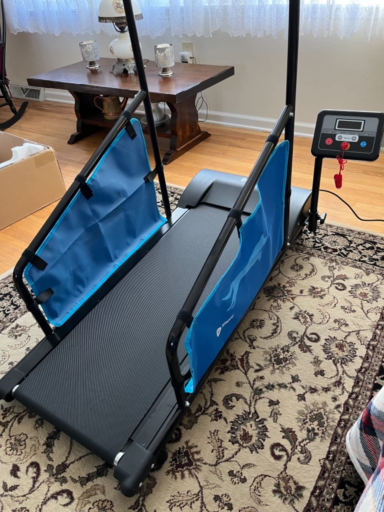 Lifepro PawRunner Dog Treadmill for Small & Medium Dogs, Remote Control customer photo 2