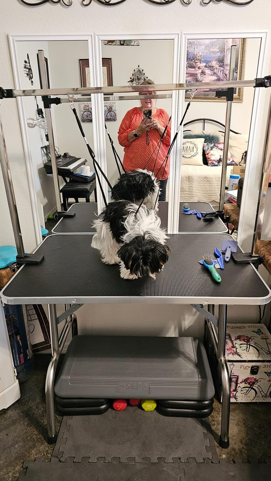 Lyromix 36'' Foldable Dog Grooming Table with Arms/Nooses/Mesh Tray, Black | Stainless Steel Grooming Table for Dogs at Home, Adjustable Pet Bathing Station, Non-Slip Waterproof Tabletop, Capacity 330Lb customer photo 2