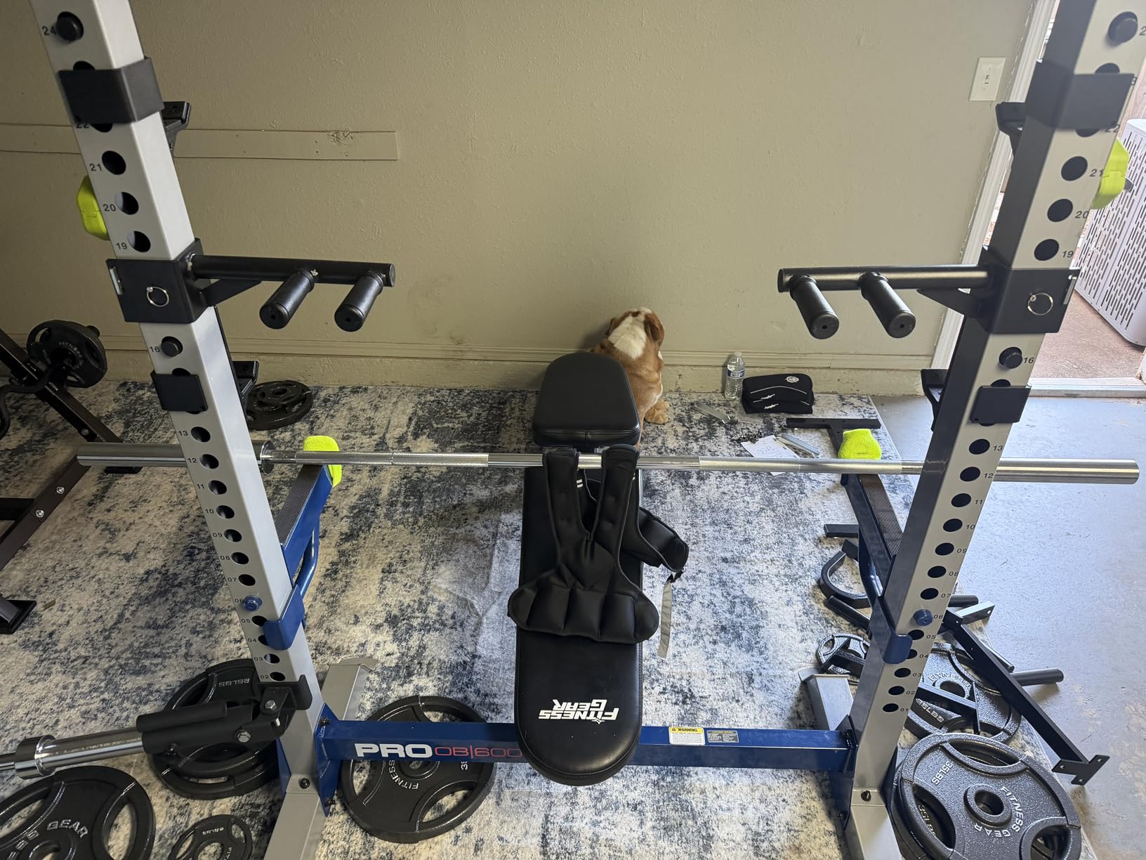SYL Fitness Dip Bar Attachments for 2