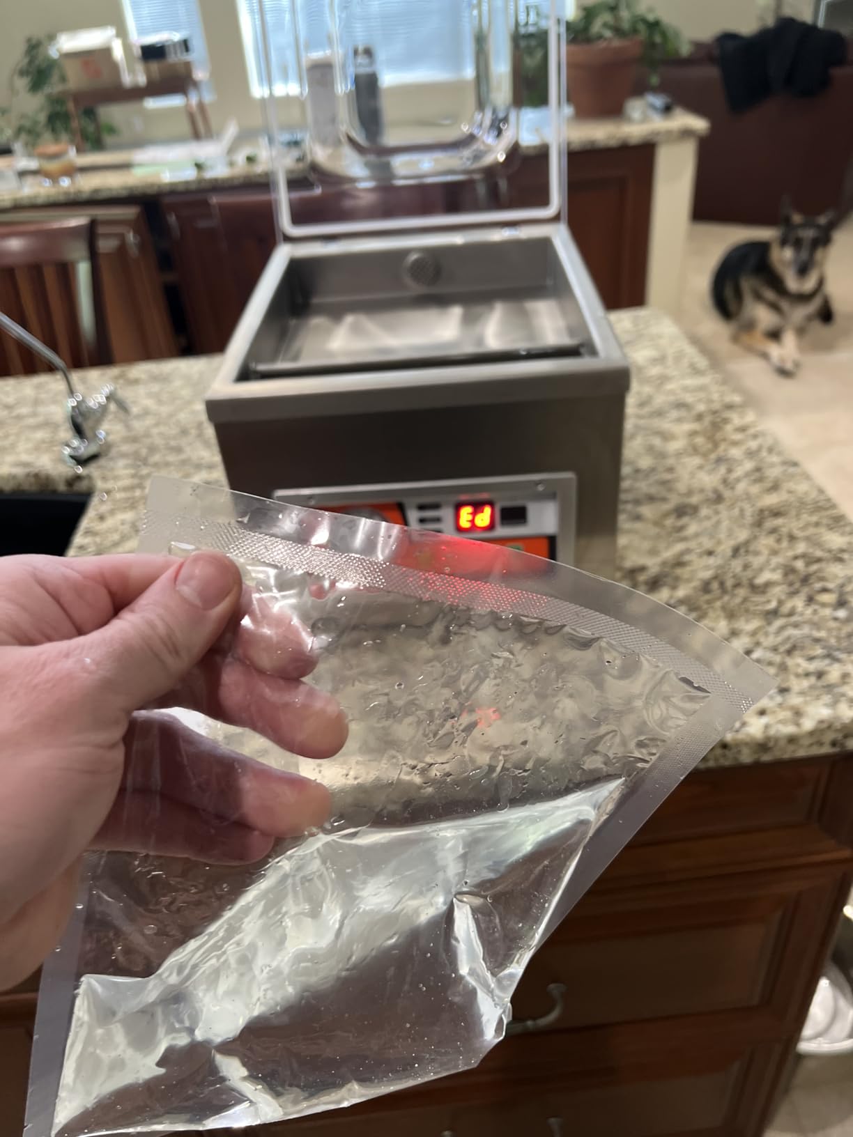 VEVOR Chamber Vacuum Sealer 260W Sealing Power 10.2 Inch Sealing Length customer photo 2