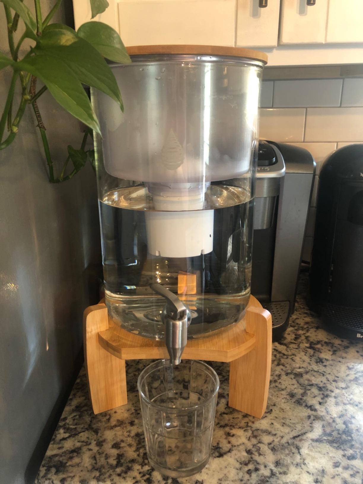 Invigorated Water pH Recharge Glass Alkaline Water Filter Dispenser System customer photo 2