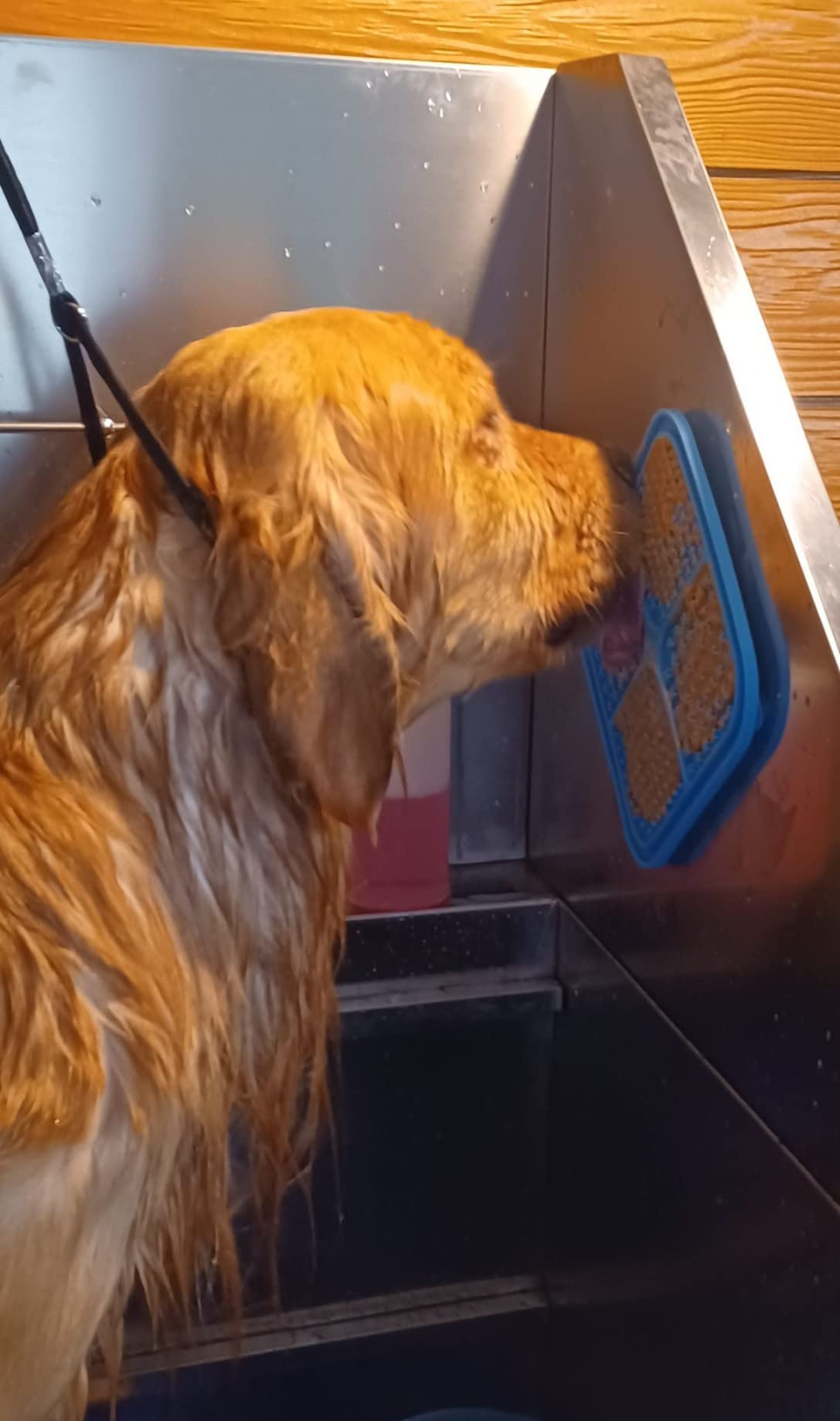 KANIS Professional Dog Washing Station 304 Stainless Steel Pet Wash Sink customer photo 2