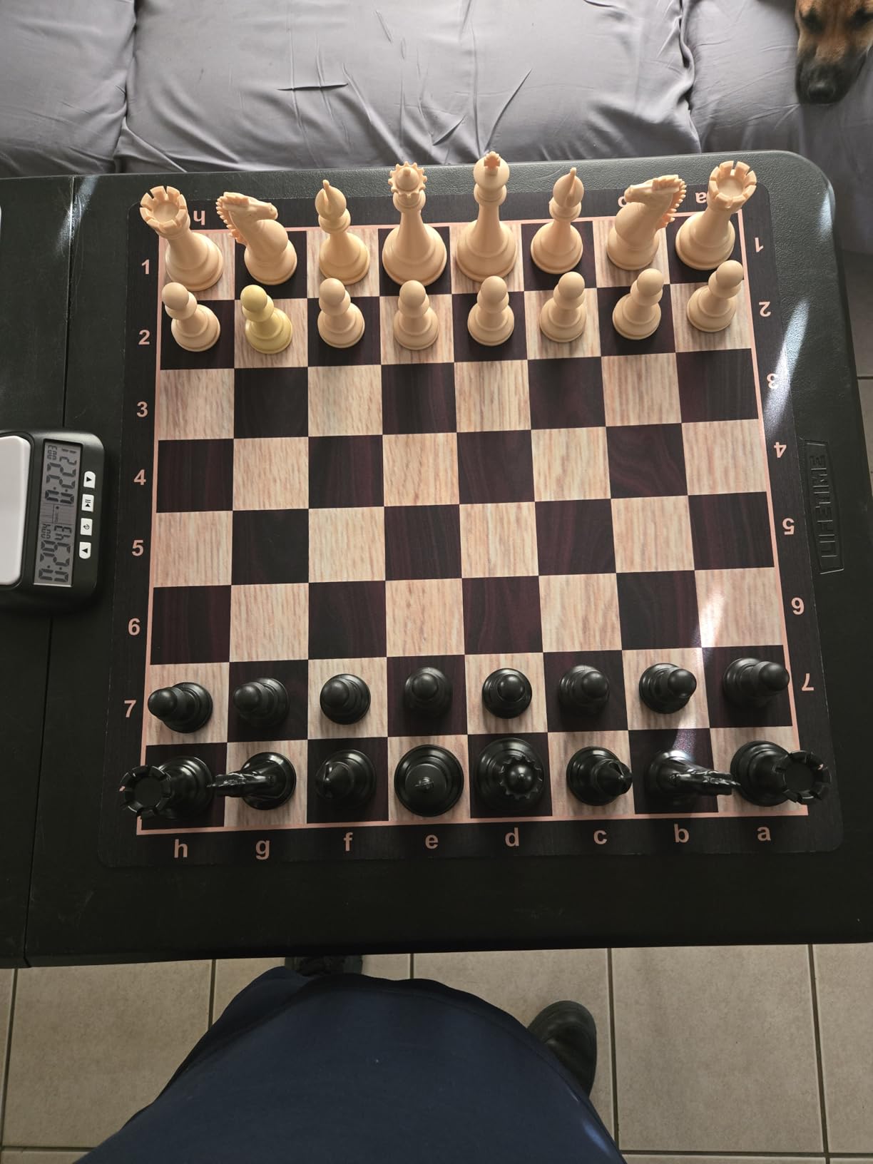 Best Chess Set Ever 4X Professional Chess Set with Weighted Staunton Pieces | 20x20 double-sided silicone board, 4X weighted pieces, 32-page strategy guide customer photo 1