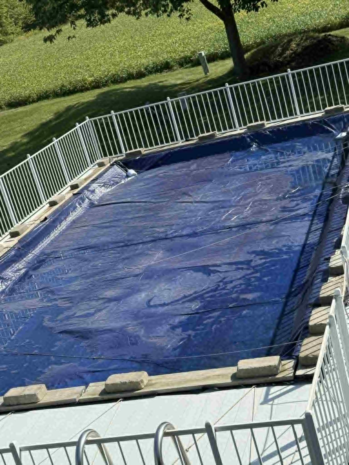 30x50 ft Rectangular Inground Pool Cover | Extra Thick & Durable | Sapphire Series of Premium Cold- and UV-Resistant Cover | In-Ground Pool Protection | by Yankee customer photo 2