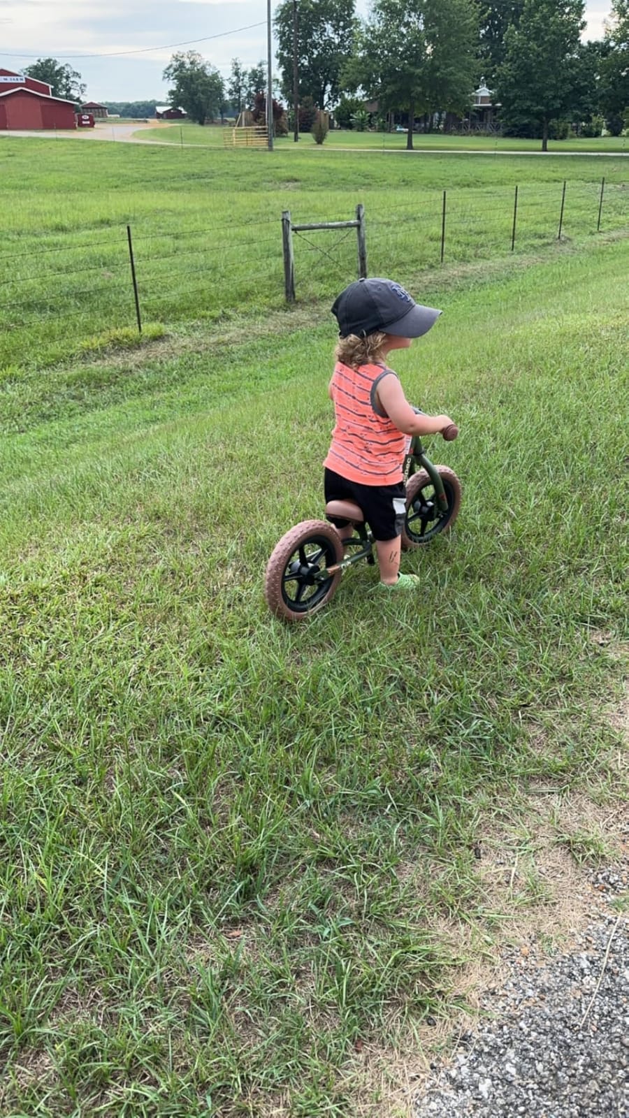 Retrospec Cub Toddler Balance Bike for Ages 18 Months - 3 Years - 12in No-Pedal Beginner Bicycle with Adjustable Seat, Puncture-Proof Tires & Safe Low Frame Design customer photo 1