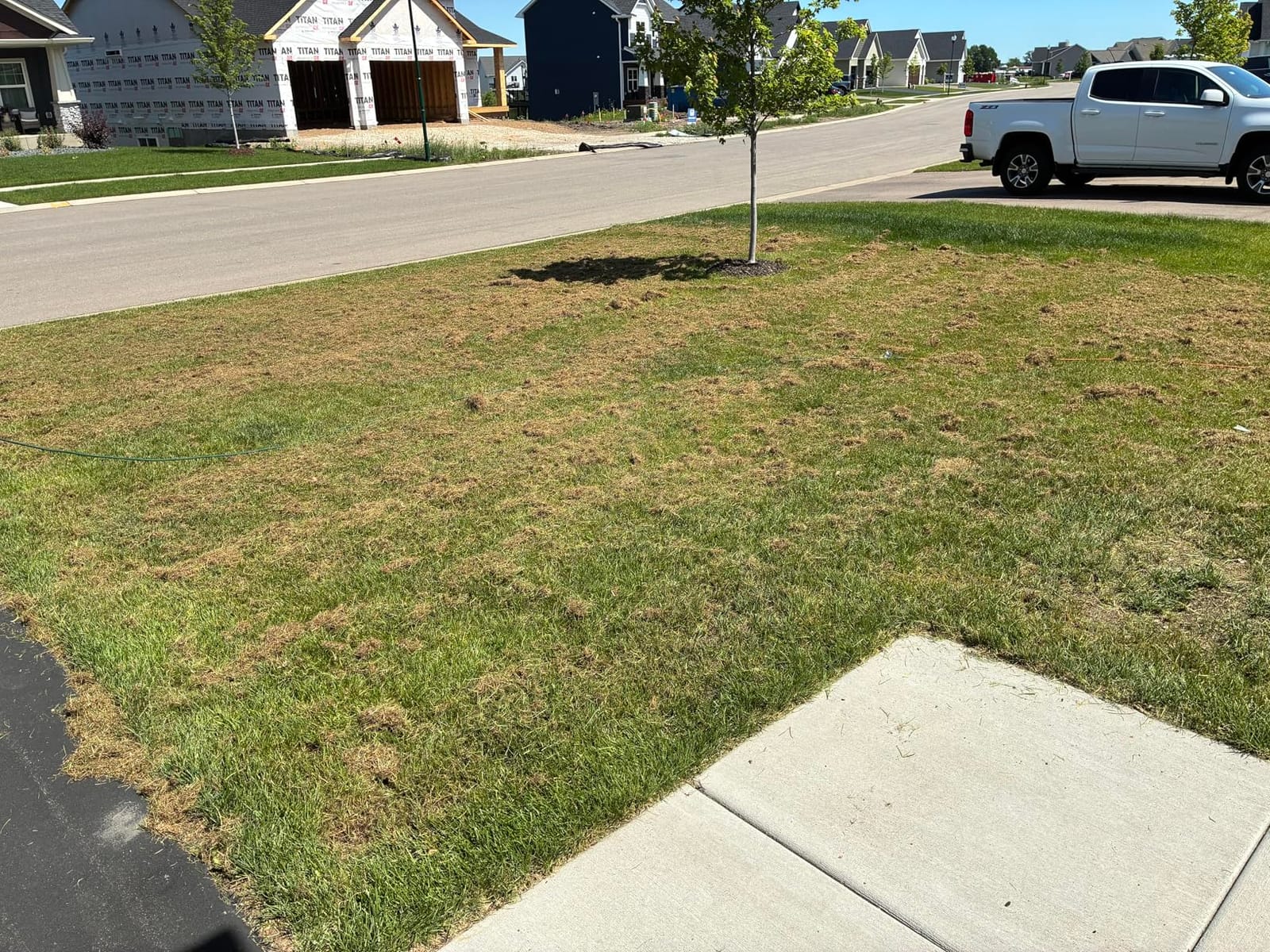 LawnMaster GVB1316 Electric 16” 13 Amp Dethatcher and Scarifier with 12 Gallon Collection Bag customer photo 1