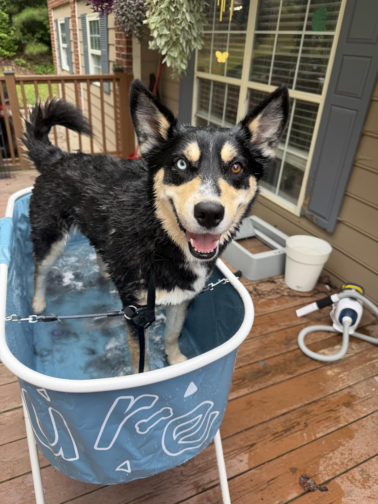 Furesh Foldable Dog Washing Station for Large Dogs with Stairs customer photo 1