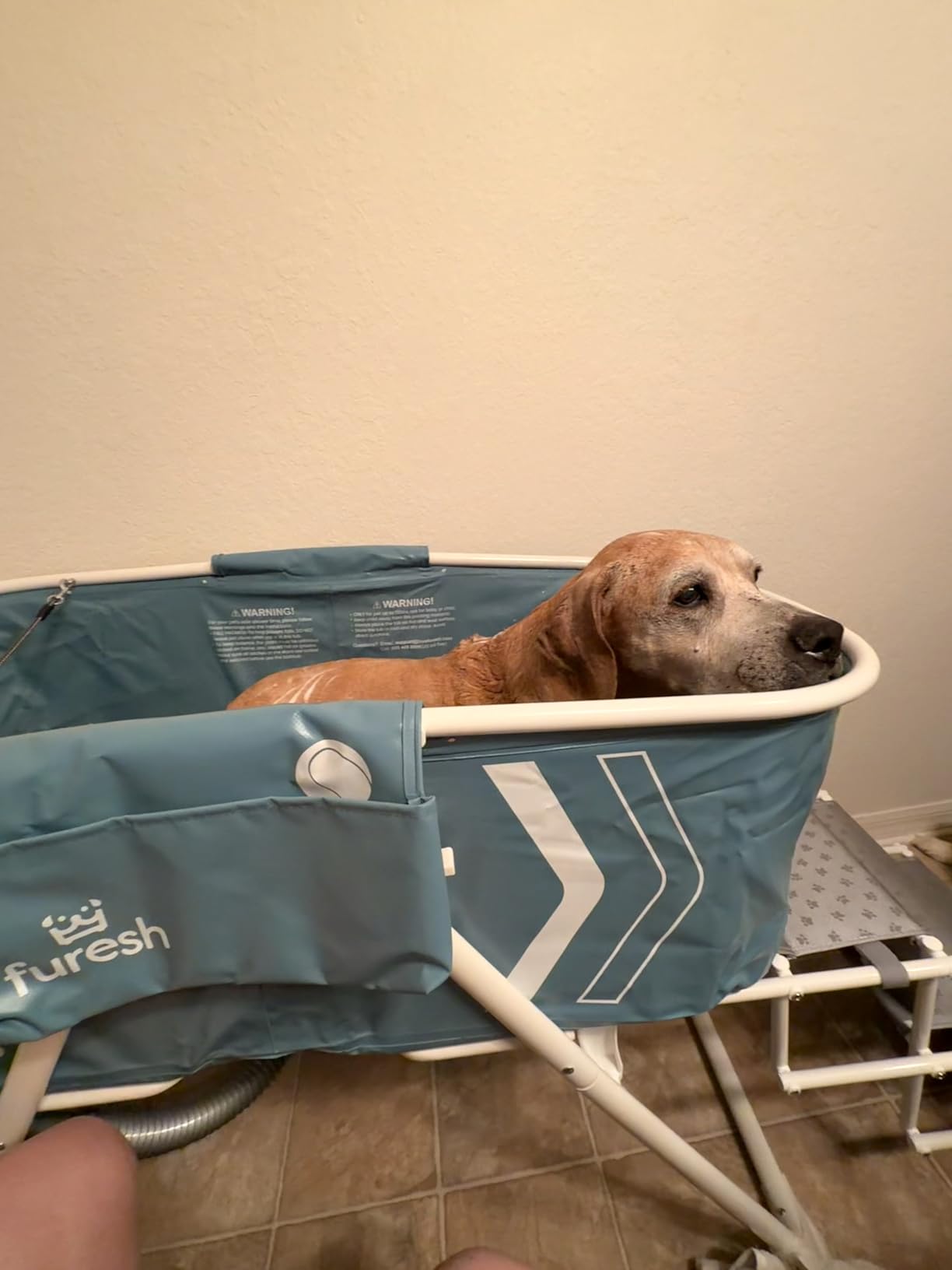 Furesh Foldable Dog Washing Station for Large Dogs with Stairs customer photo 2