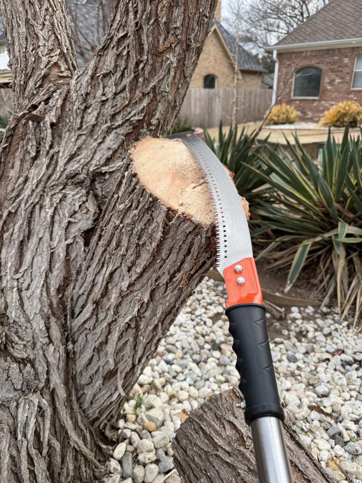 Pole Saw for Tree Trimming, 14FT Pole Tree Trimmer Long Pruning Saw, Manual Pole Cutter for Yard Garden and Patios Trees Branches Cutting customer photo 1