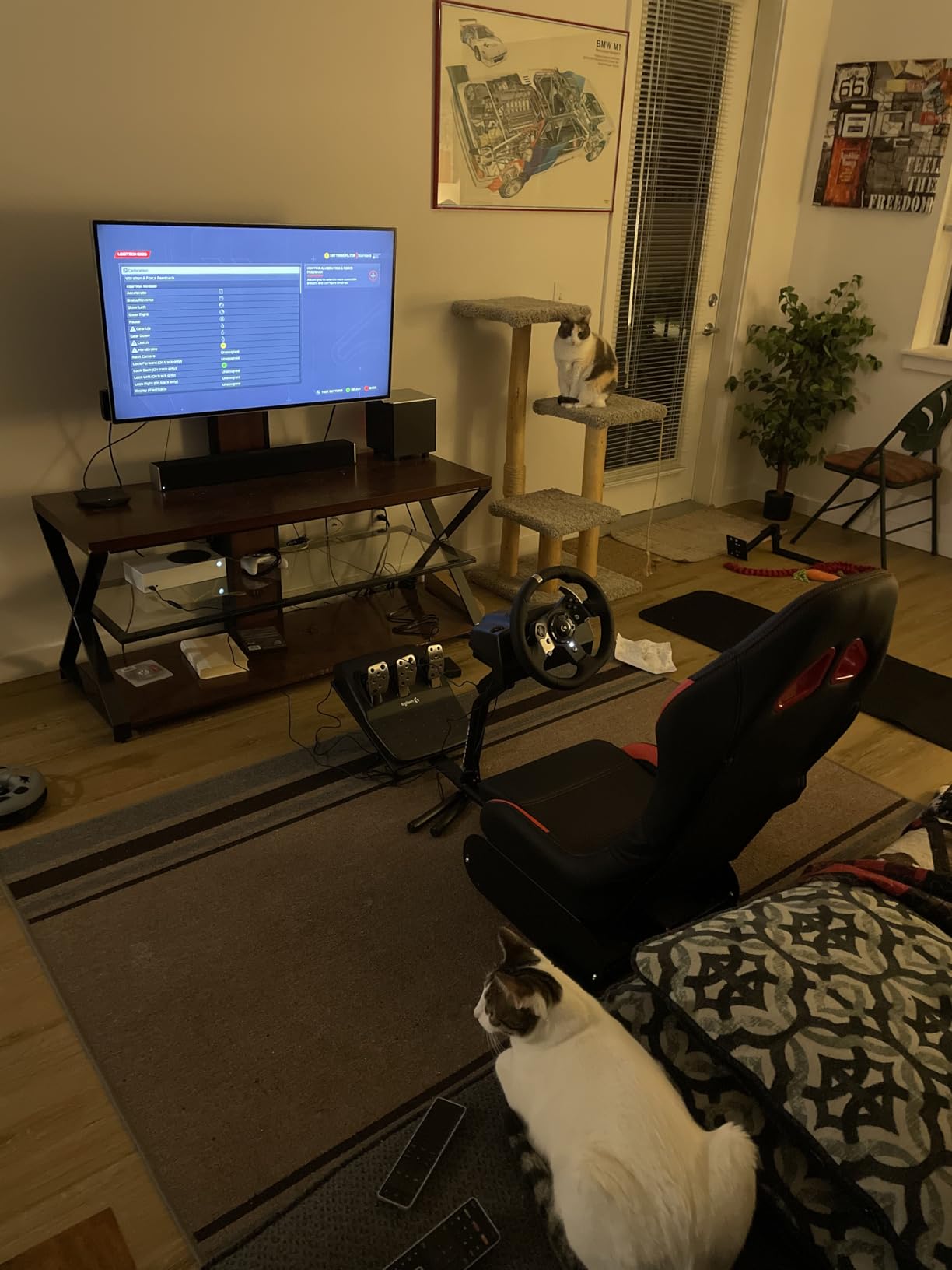 DIWANGUS Steel Racing Simulator Cockpit with Seat, Foldable Sim Racing Rig customer photo 2