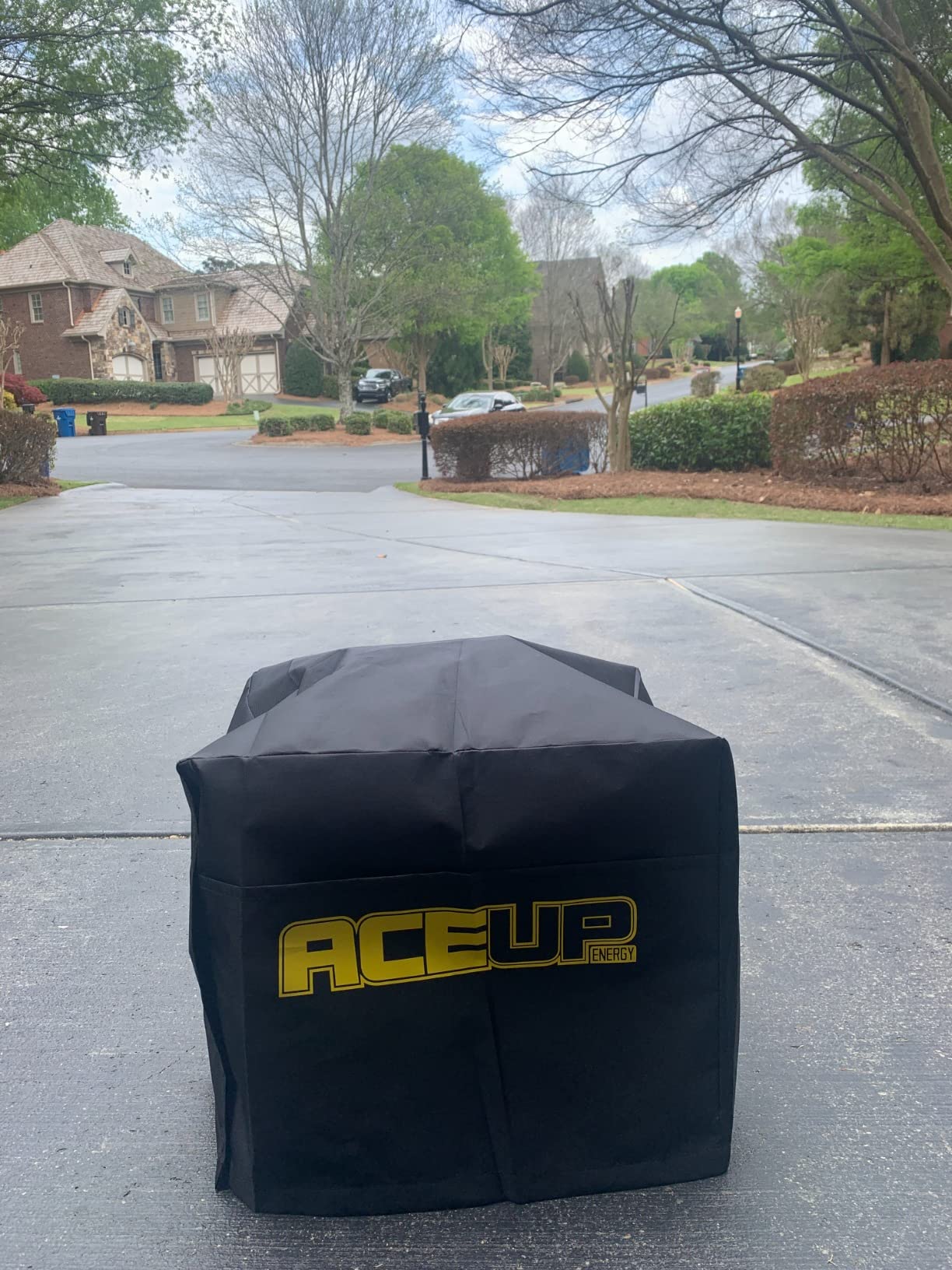 Aceup Energy 1,200W Gas Powered Generator, Small Portable Generator for Home Use Ultralight, EPA & CARB Compliant customer photo 1