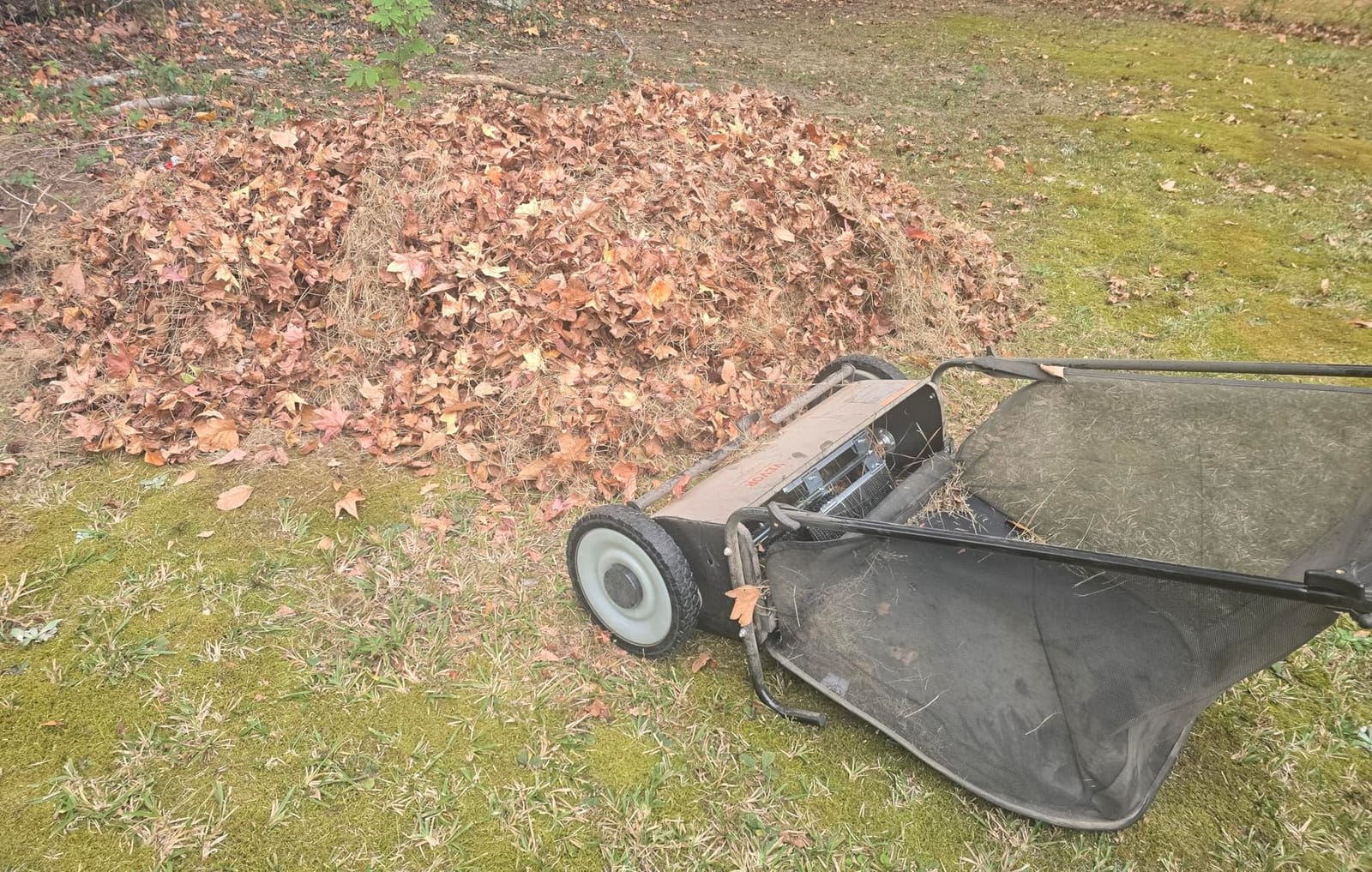 VEVOR Push Lawn Sweeper 21