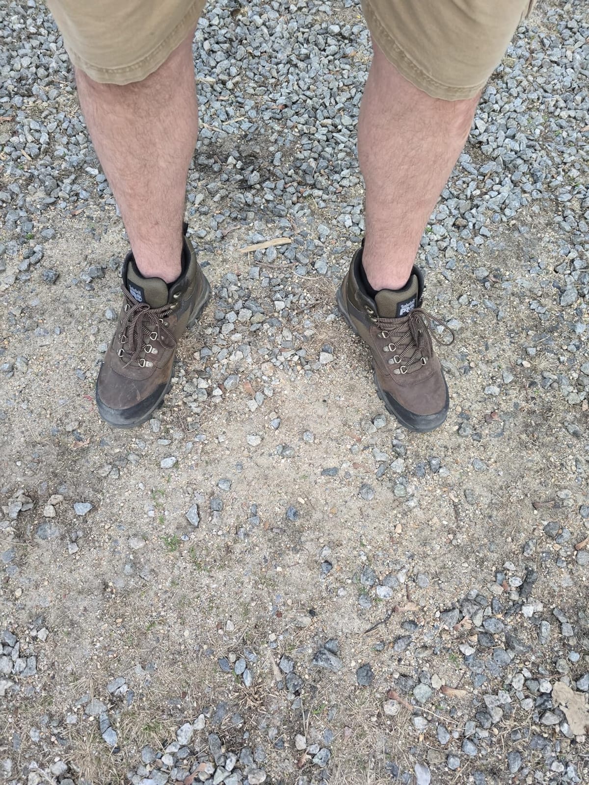 Timberland PRO mens Keele Ridge Steel Safety Toe Waterproof Industrial Hiking customer photo 2