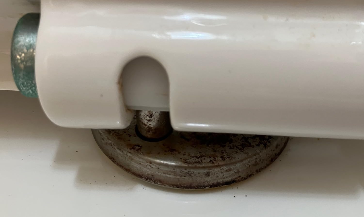 DeerValley Elongated One Piece Toilet with Efficient Dual Flush 1.1/1.6 GPF customer photo 1