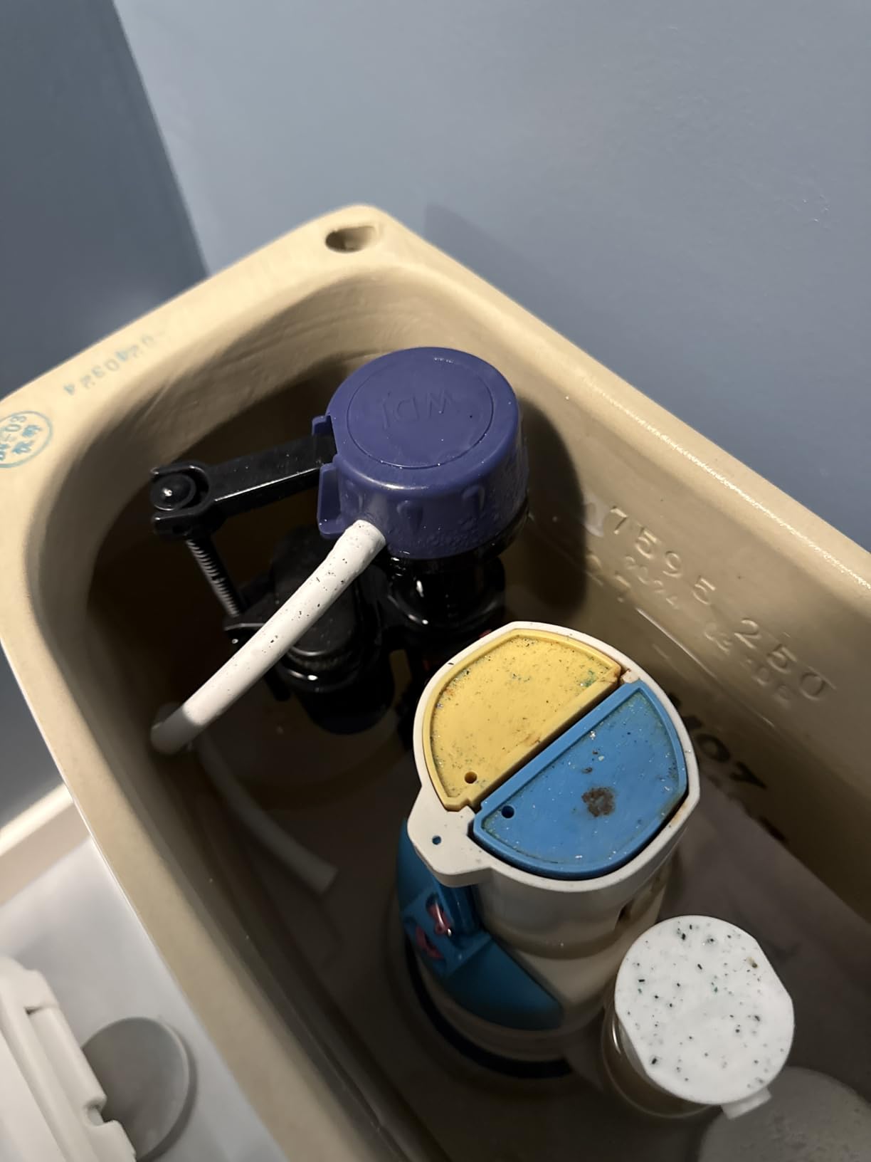 DeerValley Elongated One Piece Toilet with Efficient Dual Flush 1.1/1.6 GPF customer photo 2